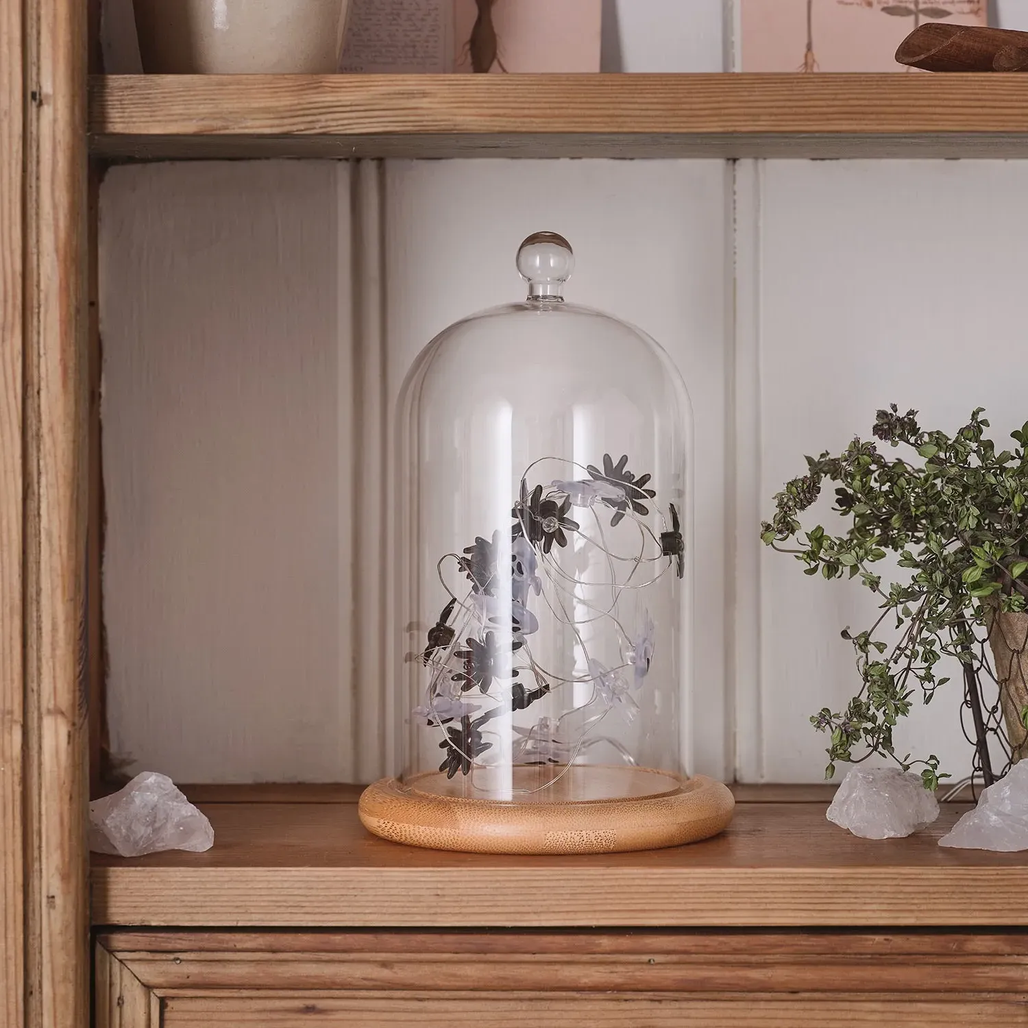 Glass Dome with Ghost & Spider LED Lights