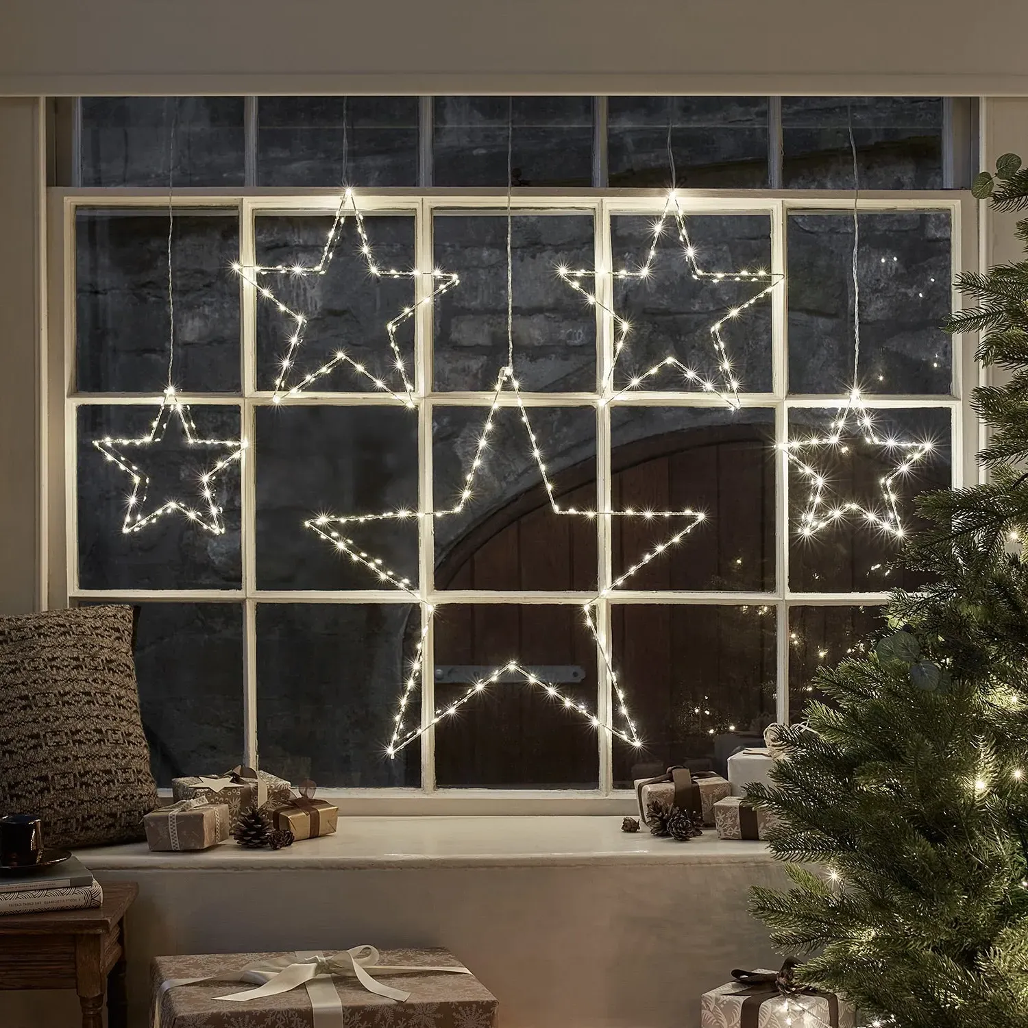 LED Star Curtain Light - Dual Color