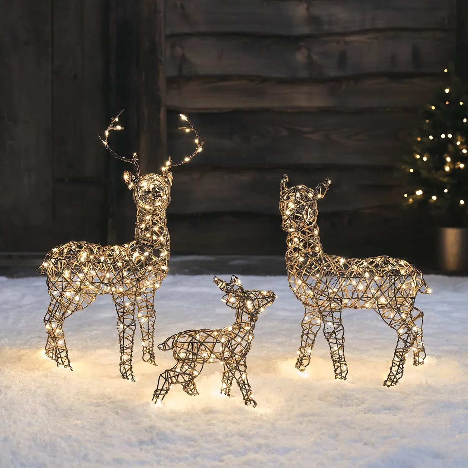 Mini LED Reindeer Family Set - Warm White, Rattan image