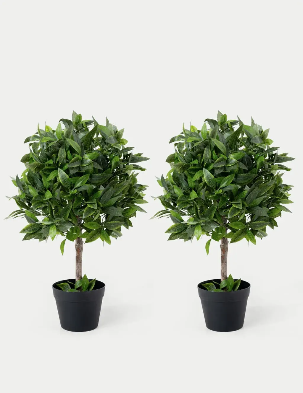 2.5ft Set of 2 Bay Bush Ball Trees - Green image