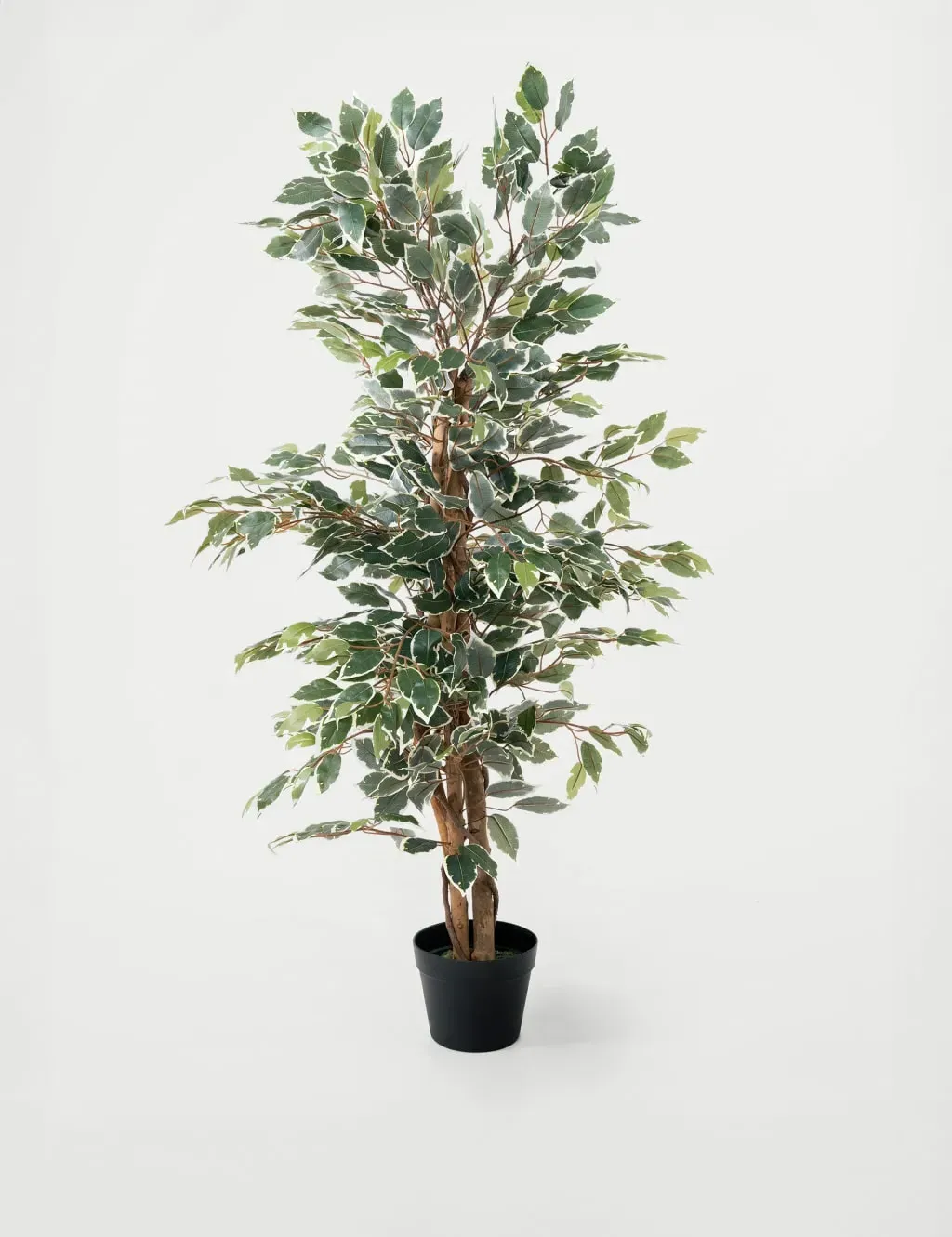 4ft Artificial Ficus Tree in Pot - Green Mix image