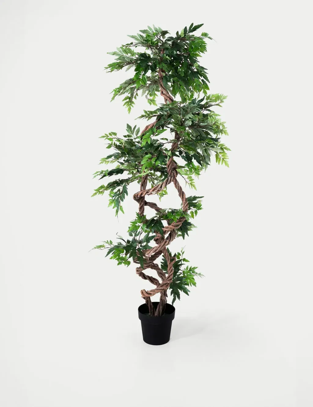 5.5ft Artificial Fruticosa Tree in Pot - Green