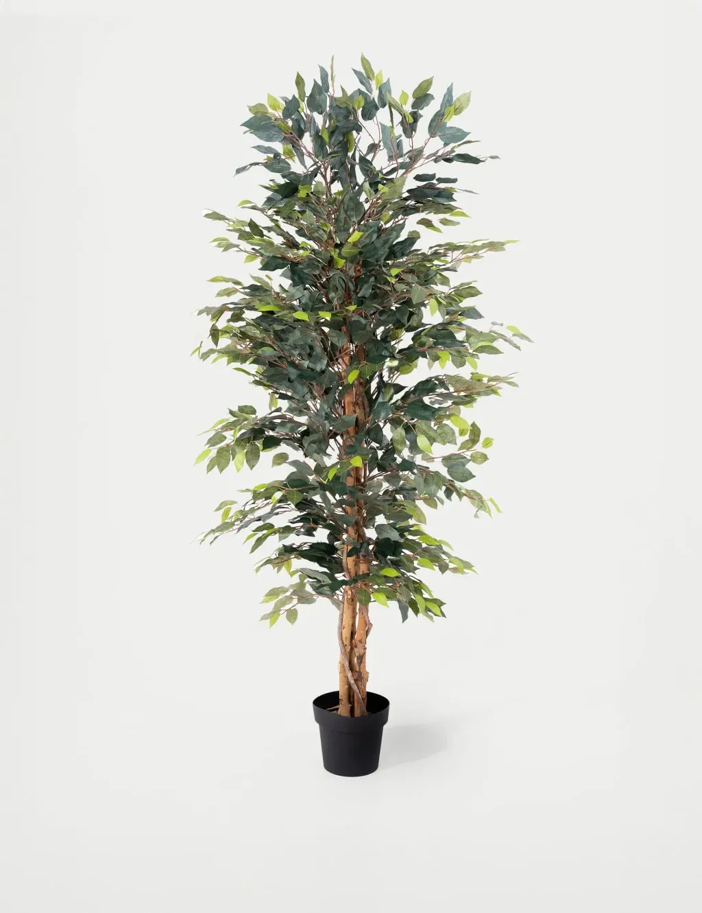 5ft Artificial Ficus Tree in Pot - Green image