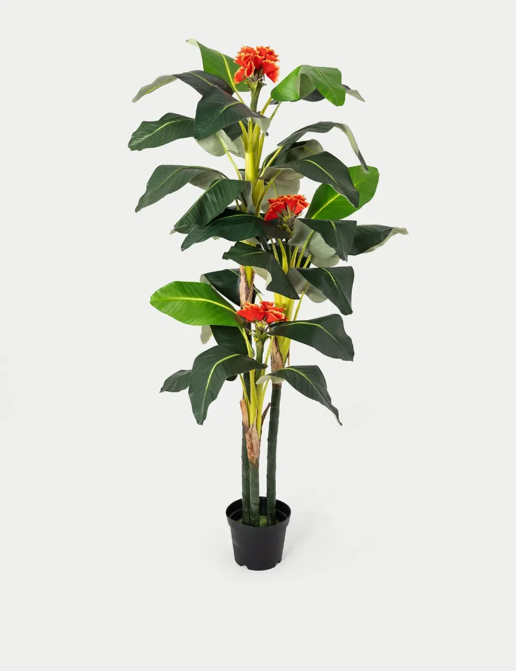6ft Artificial Banana Tree in Pot - Green