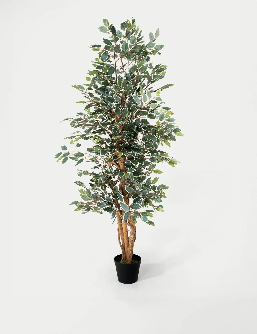 6ft Artificial Ficus Tree in Pot - Green Mix