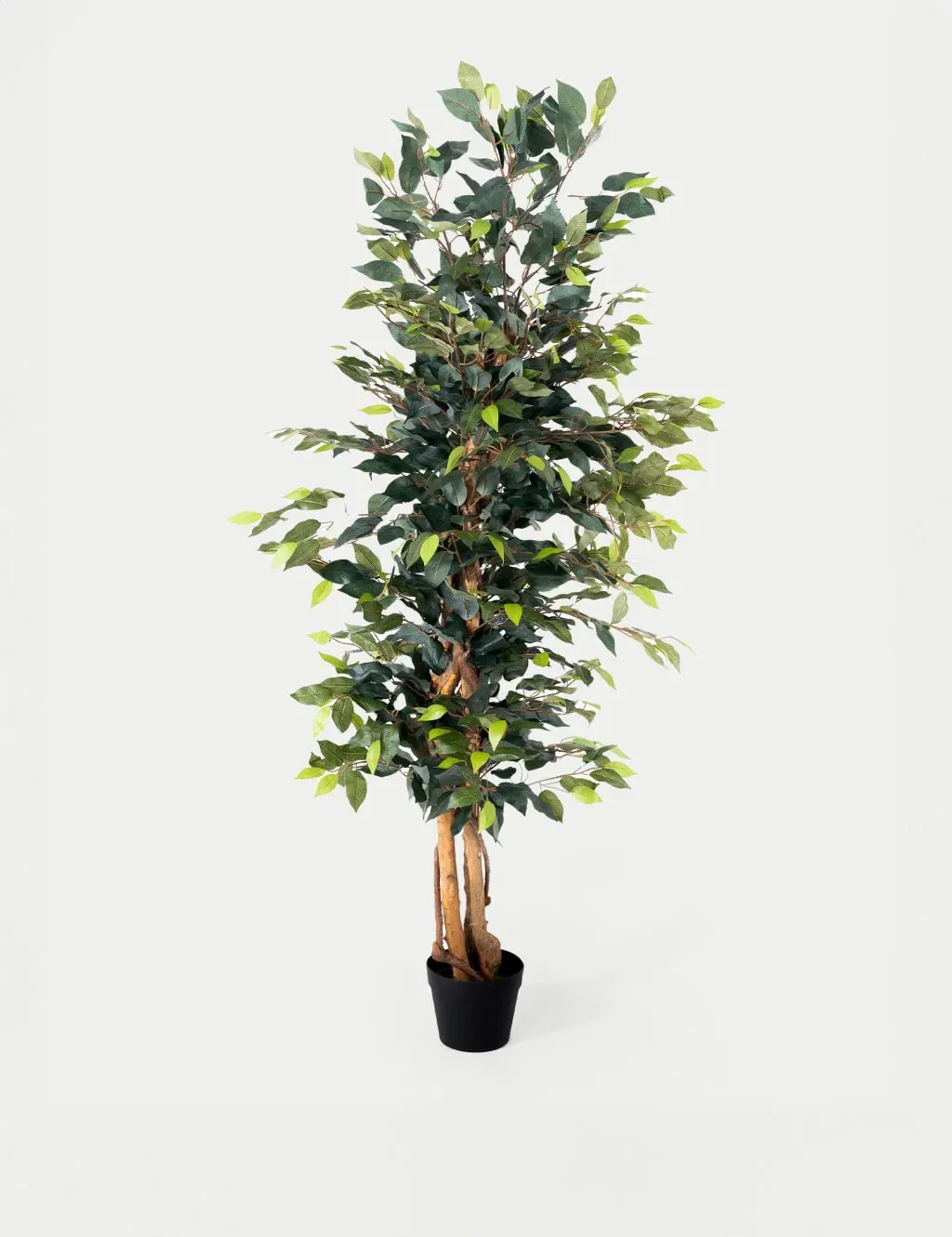 6ft Artificial Ficus Tree in Pot - Green image