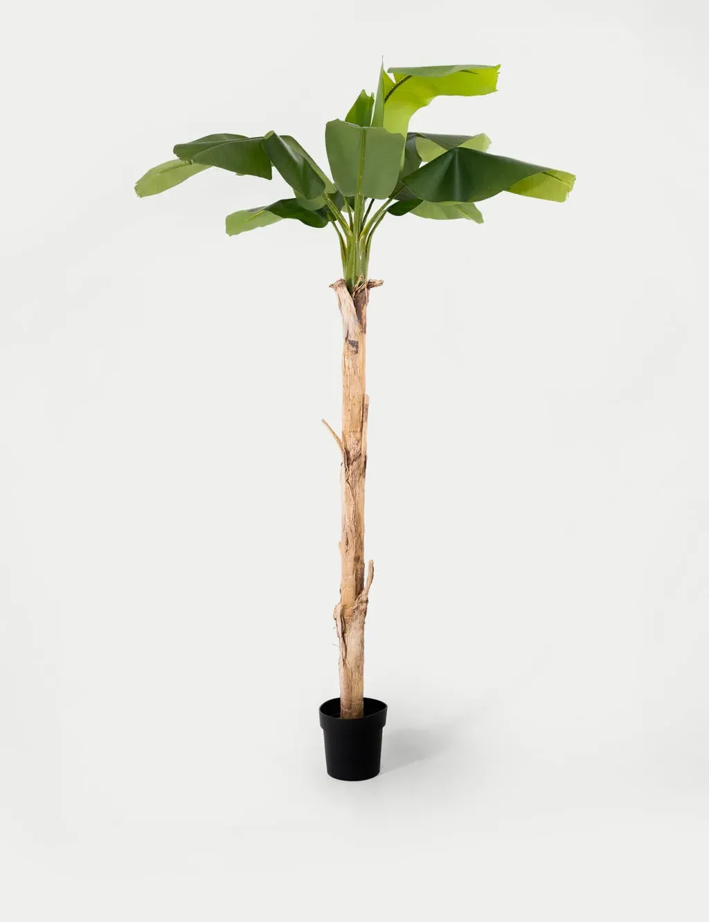 6ft Artificial Musa Banana Tree in Pot - Green image