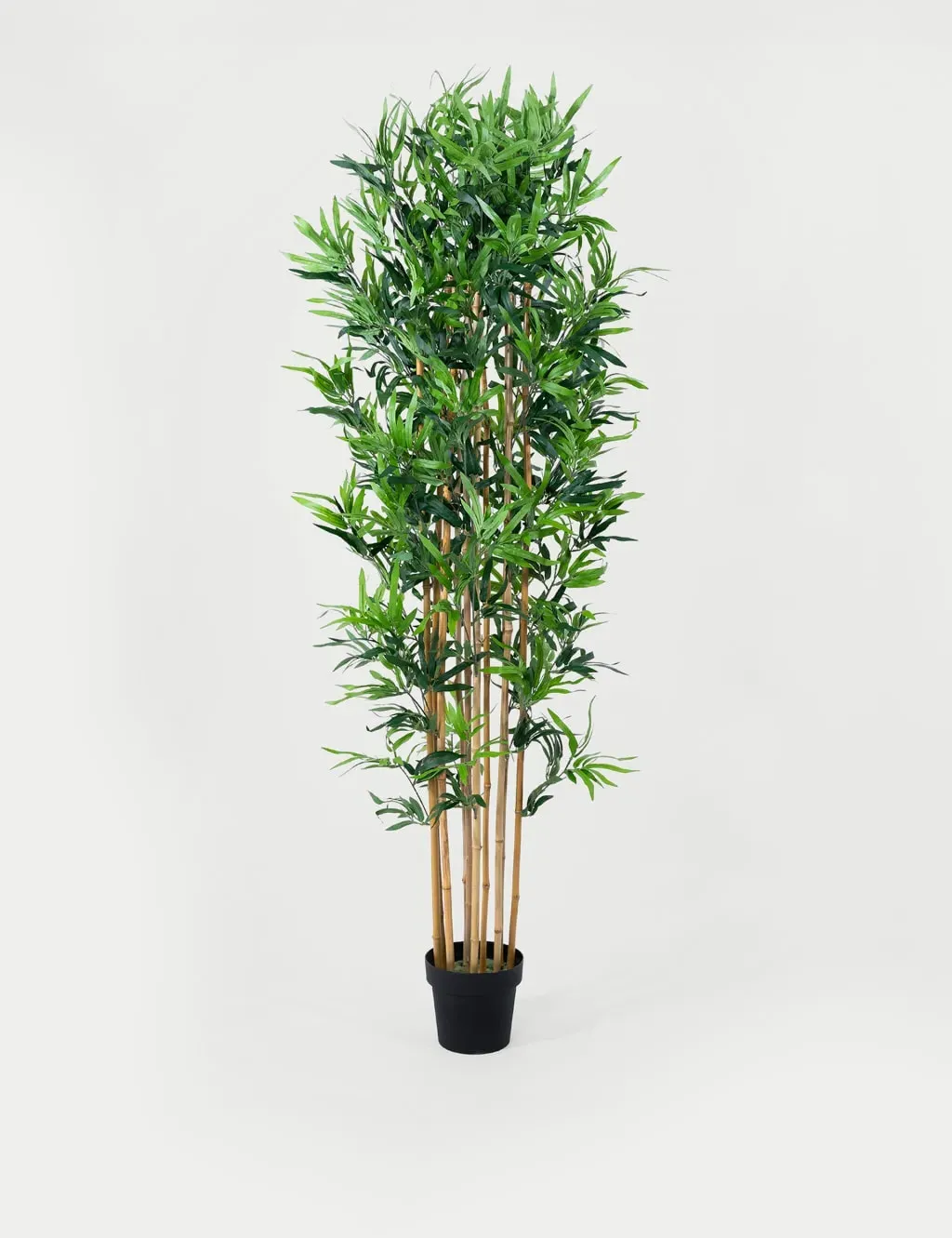 6ft Bamboo Tree - Green, Artificial image