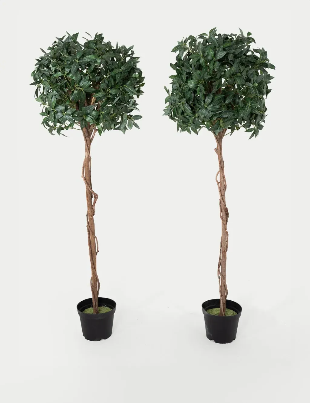 6ft Set of 2 Bay Trees - Green, Artificial