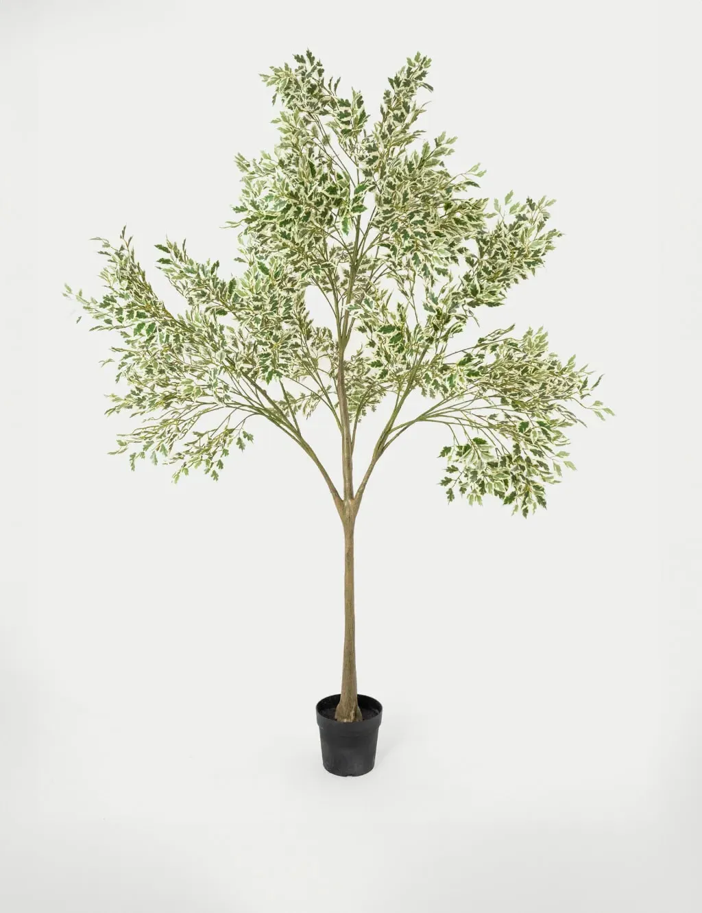 7ft Artificial Ficus Tree in Pot - Green Mix image
