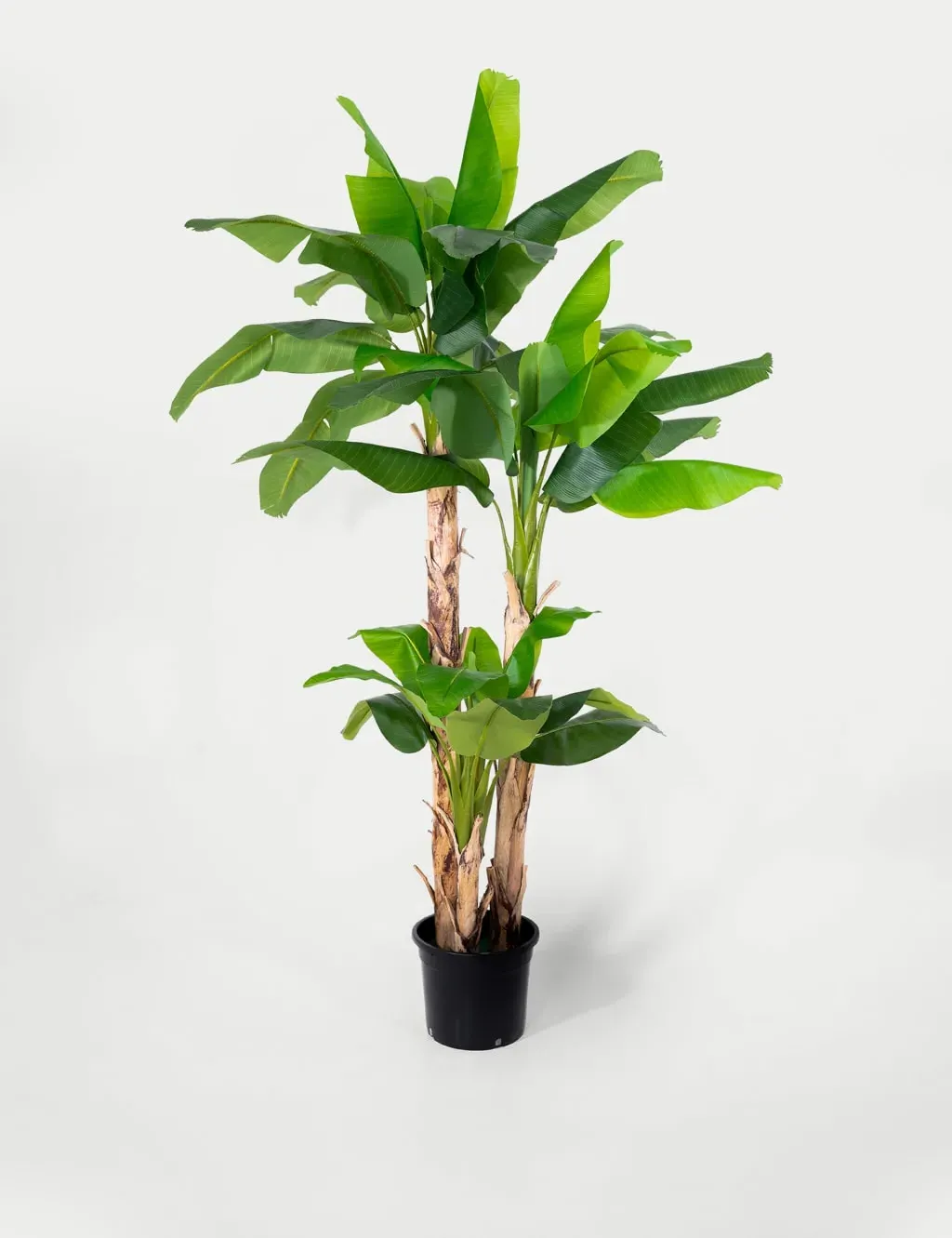 8ft Artificial Musa Basjoo Tree - Green