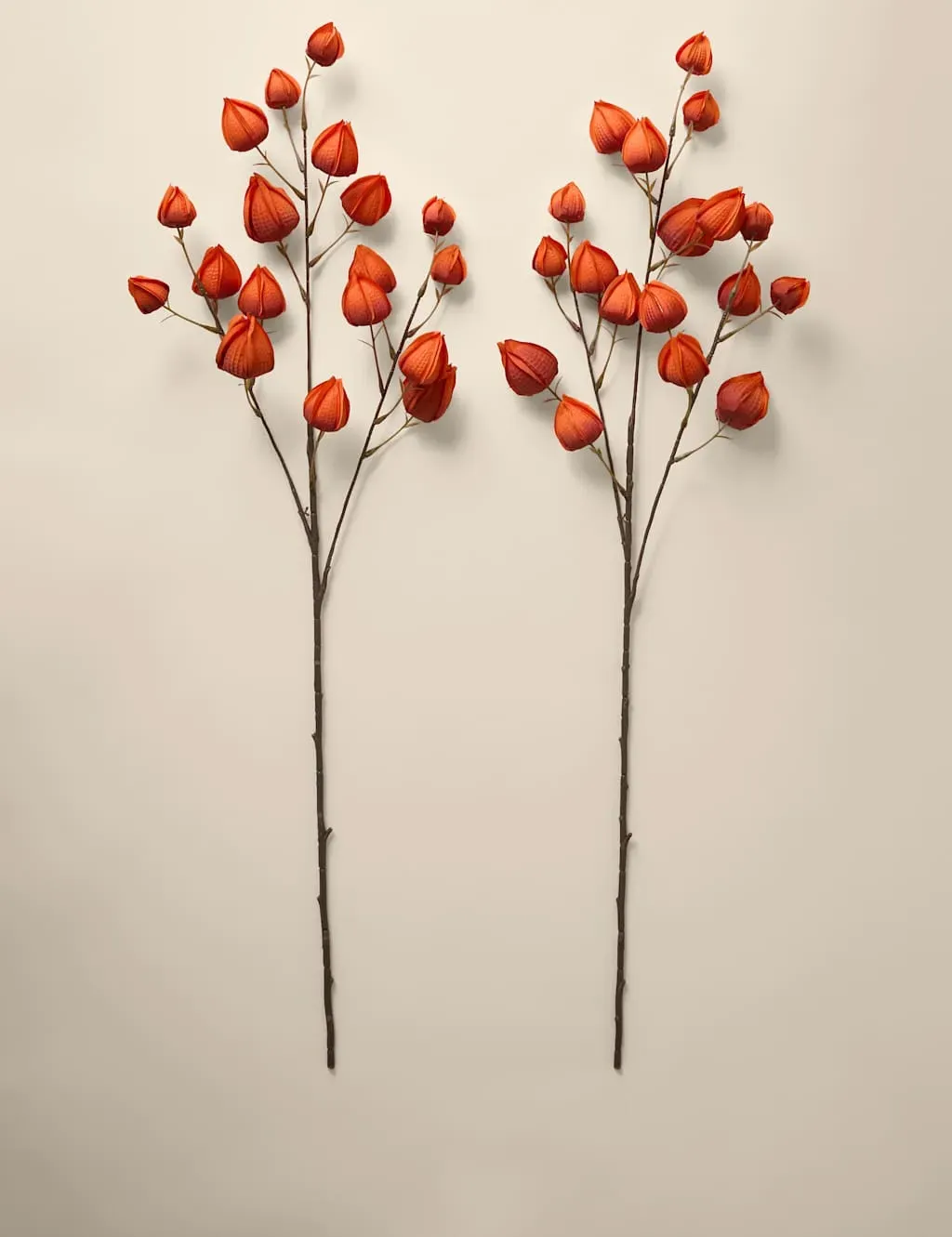 2-Pack Artificial Chinese Lantern Stems - Orange image