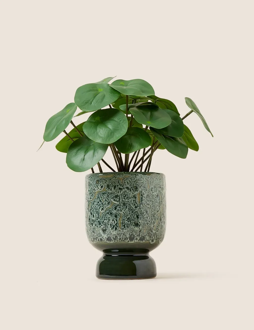 Artificial Chinese Money Plant - Green, Ceramic image