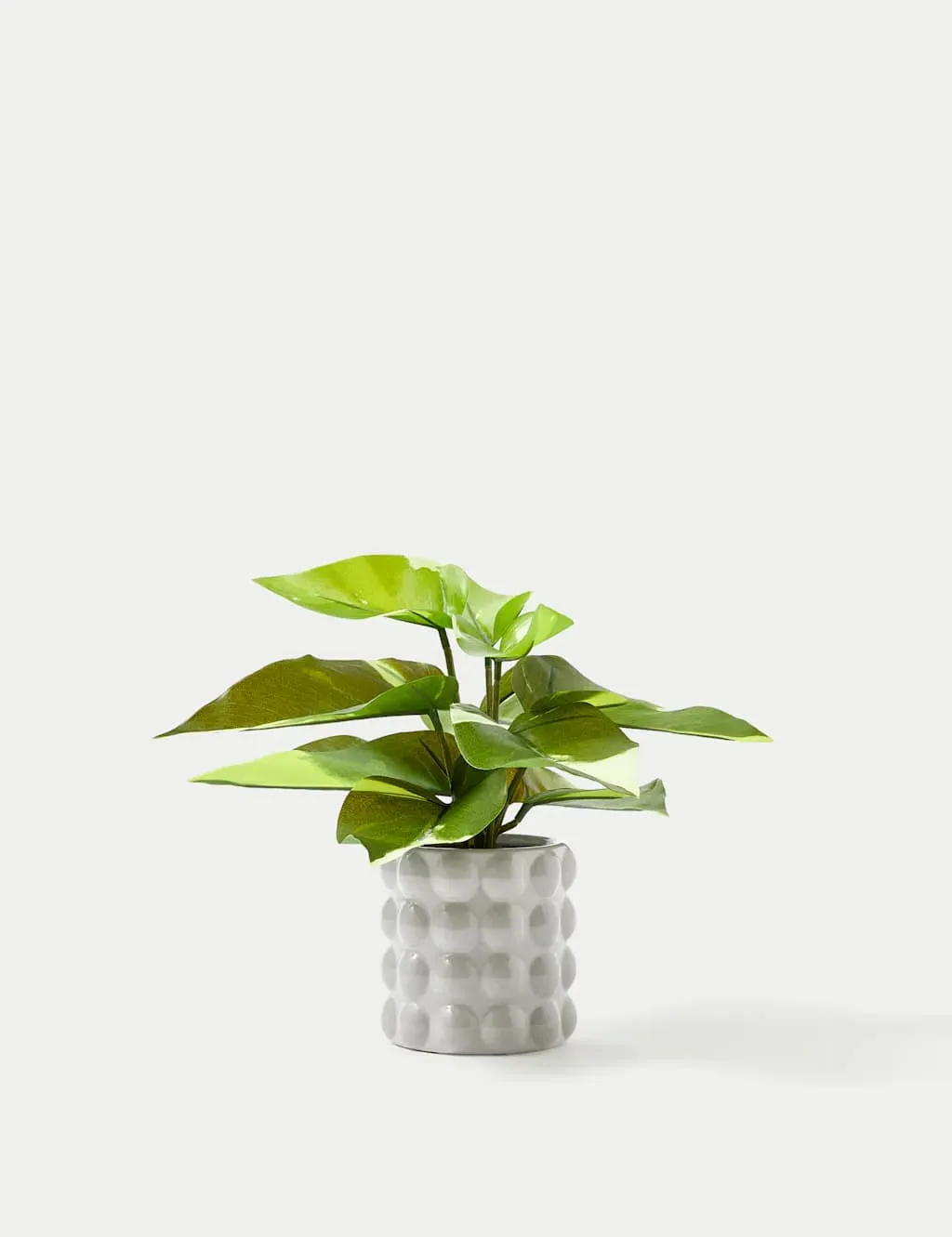 Artificial Philodendron Plant - Green, Ceramic image
