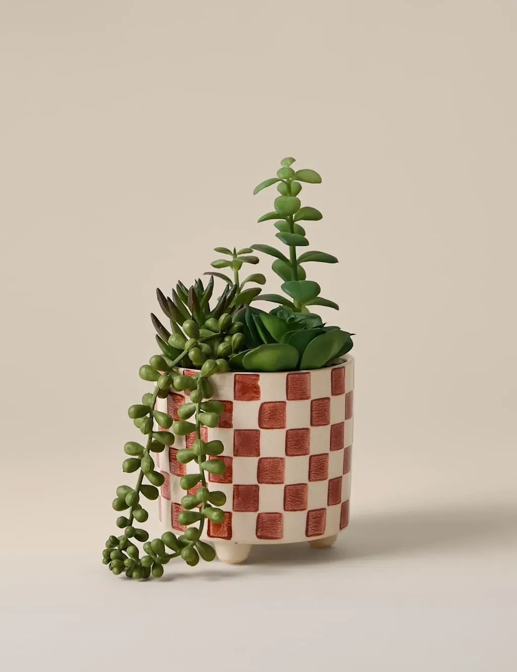 Artificial Succulent Family - Red, Ceramic