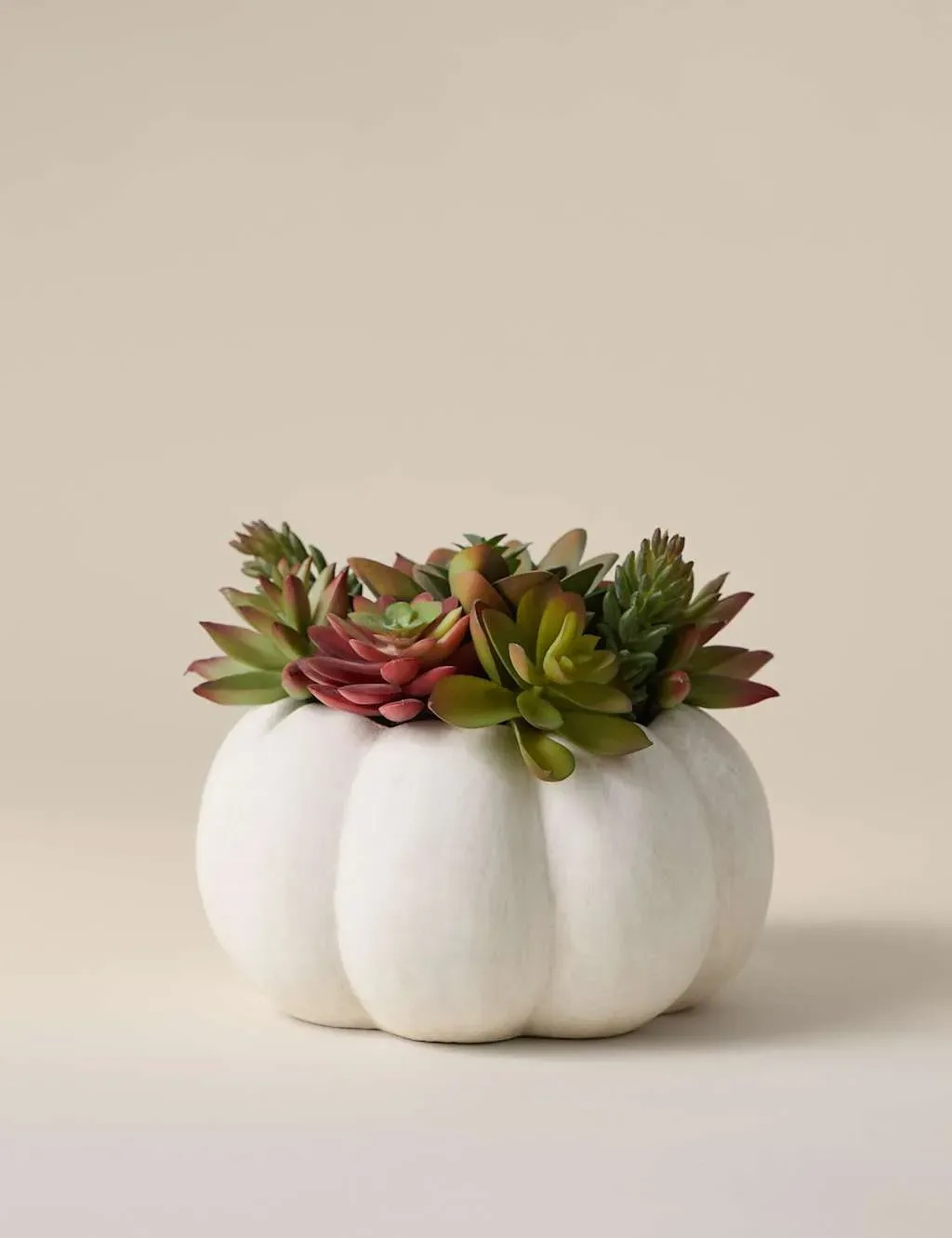 Artificial Succulents in Concrete Pot - White