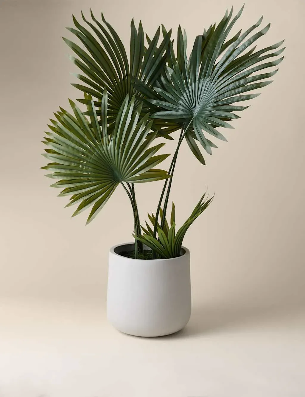 Floor Standing Artificial Fern - White, Concrete image