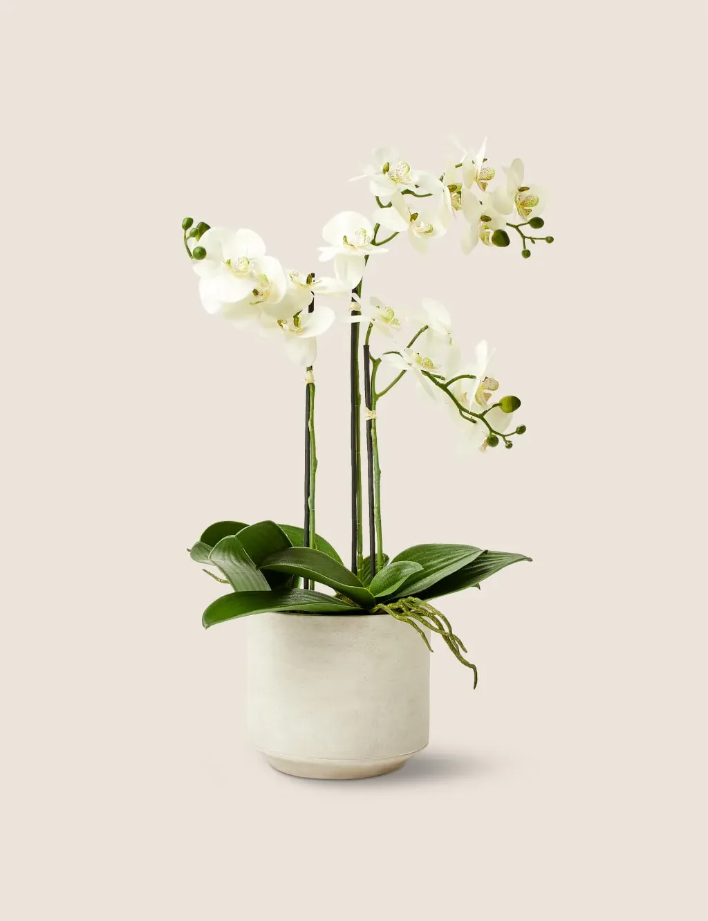Large Artificial Orchid Plant - White, Ceramic image