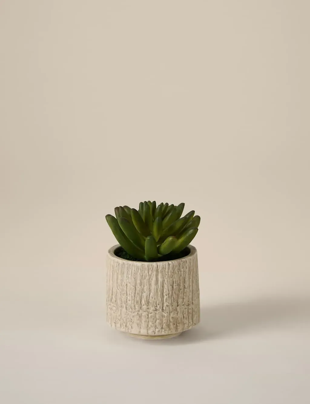 Mini Artificial Succulent - Brown, Cement image