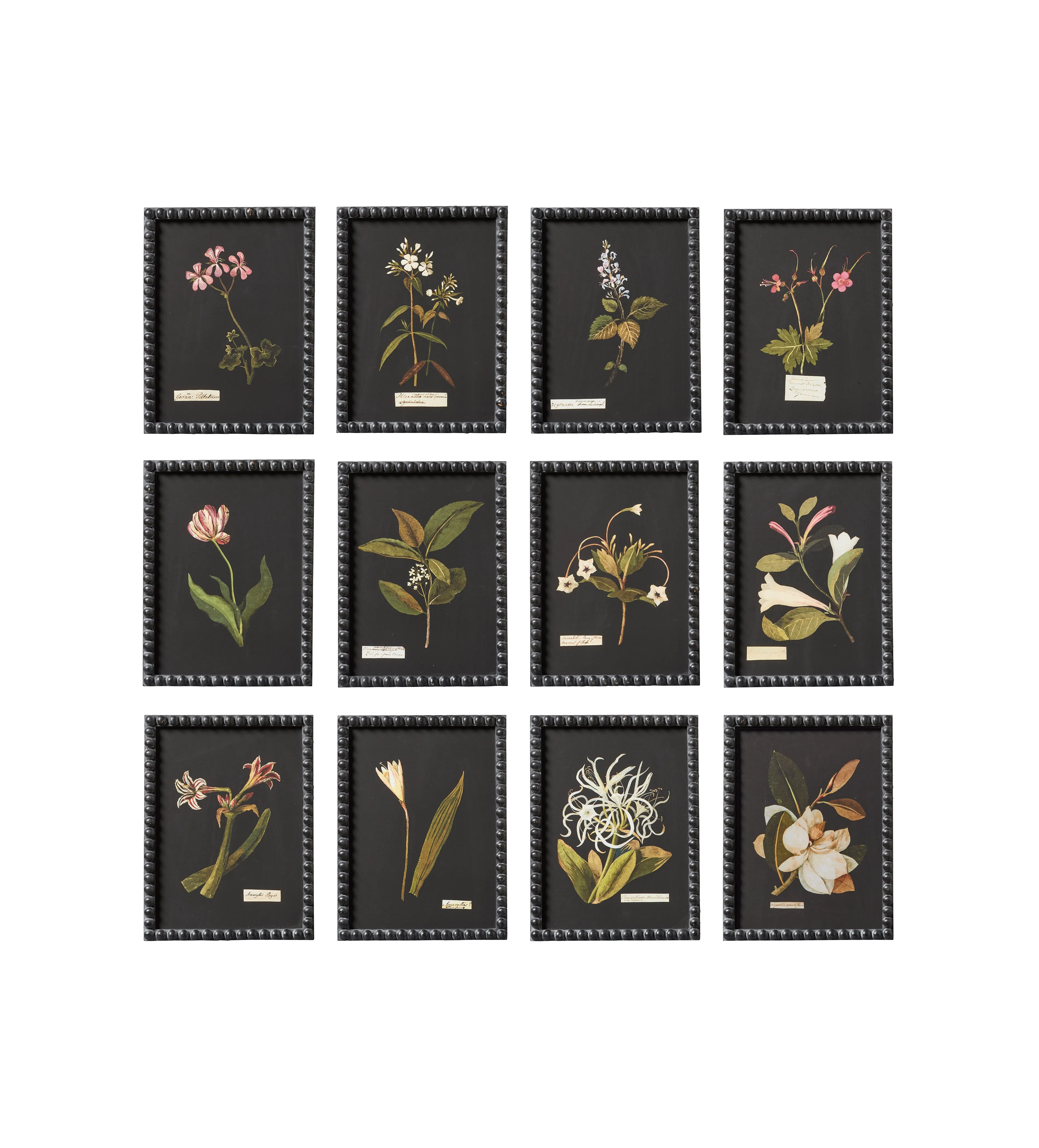 12-Piece Botanical Print Set - Multi, Framed image