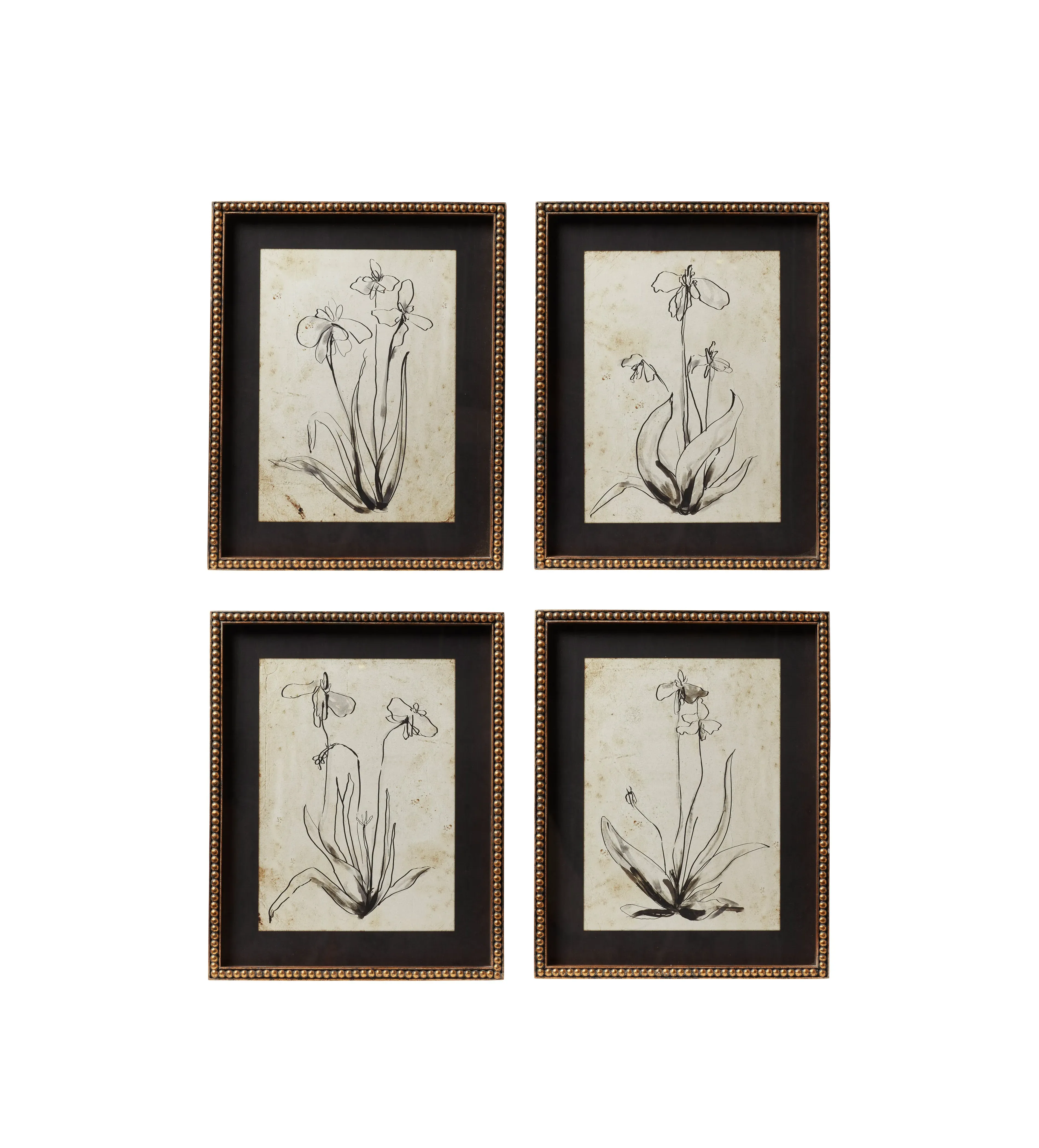 4-Piece Framed Botanical Prints - Multi, Print image