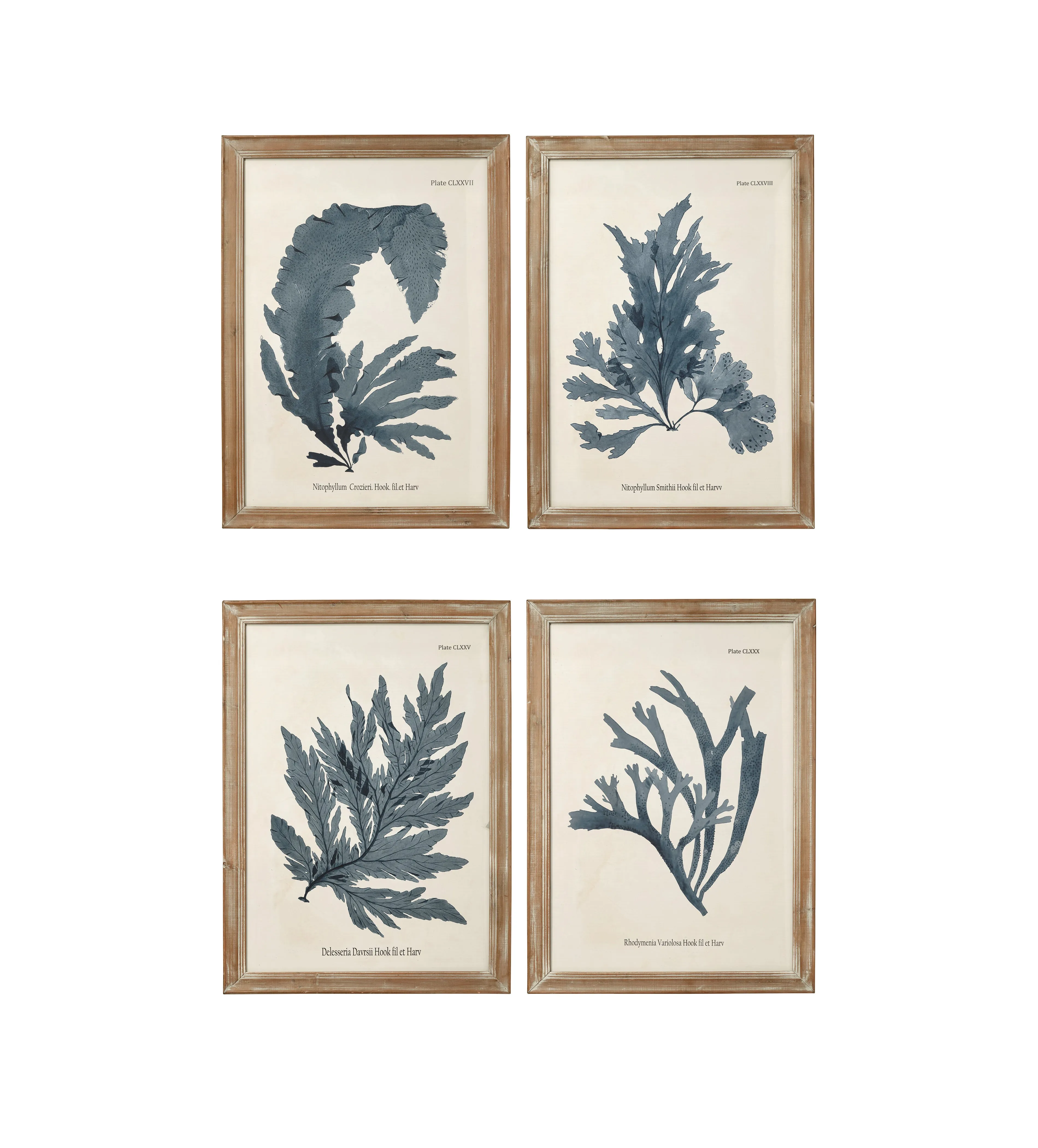 4-Piece Framed Print Set - Multi, Paper image