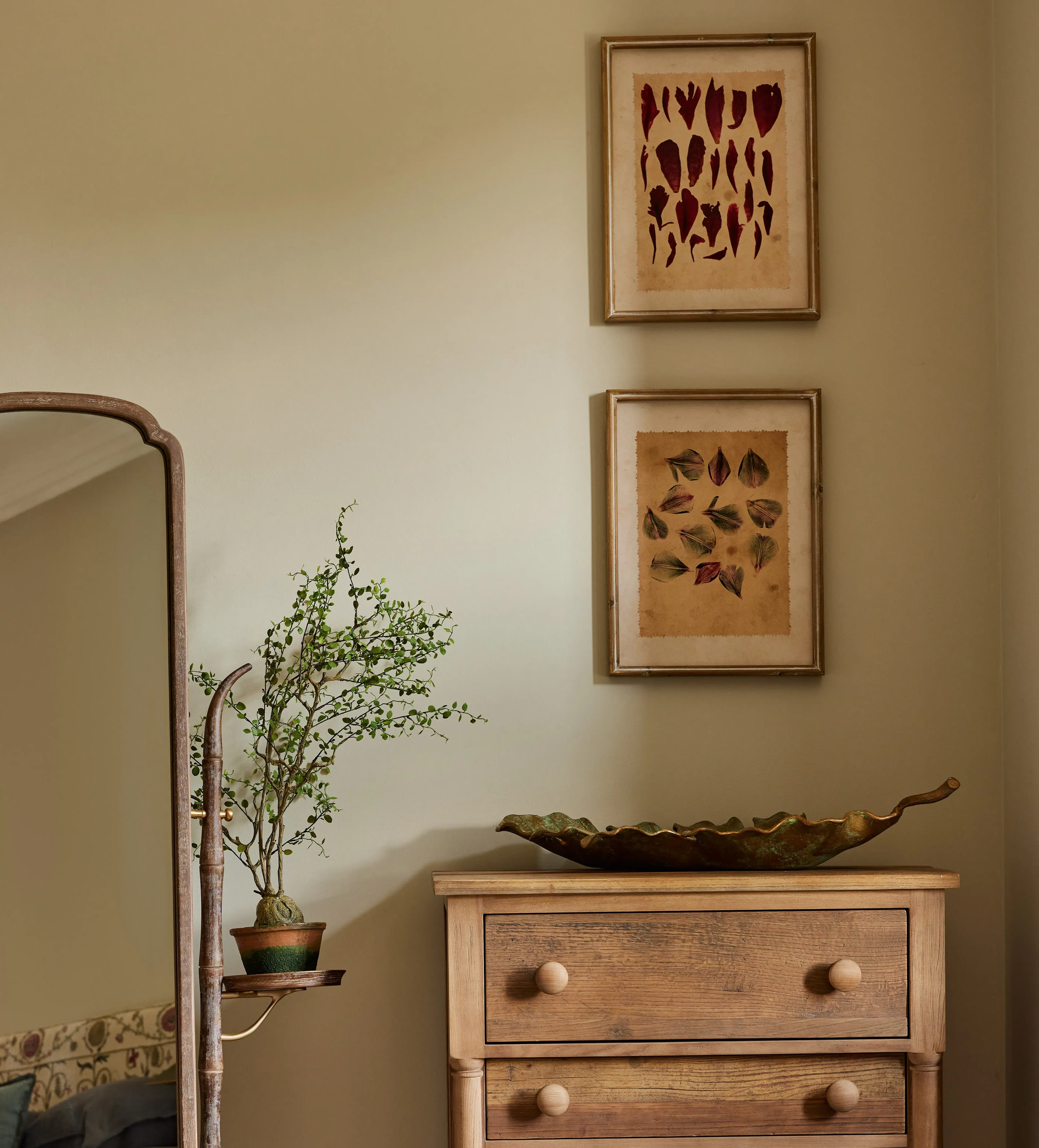 6-Piece Framed Petal Prints - Multi, Paper