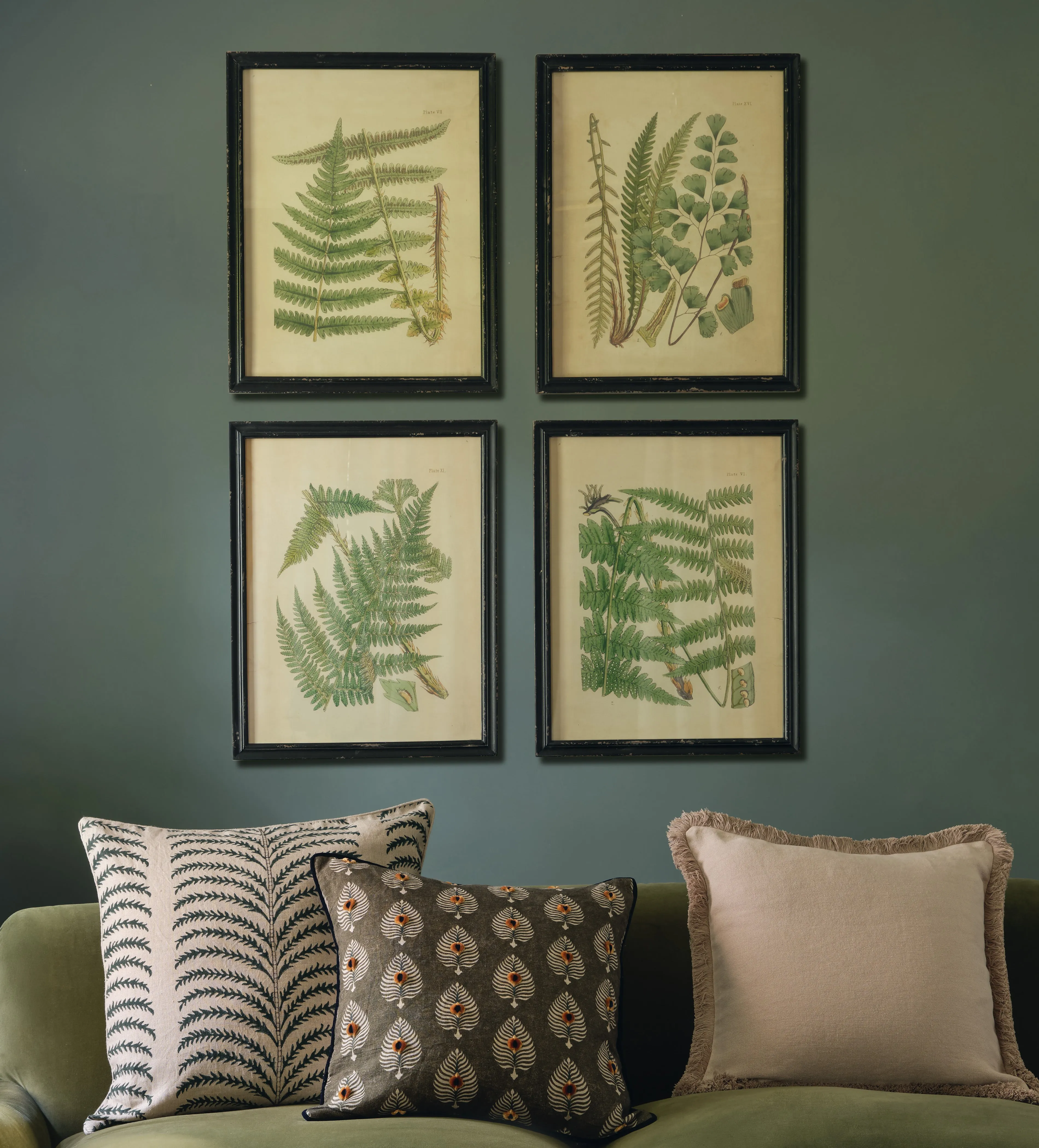 8-Piece Botanical Prints Set - Multi, Wood Frame
