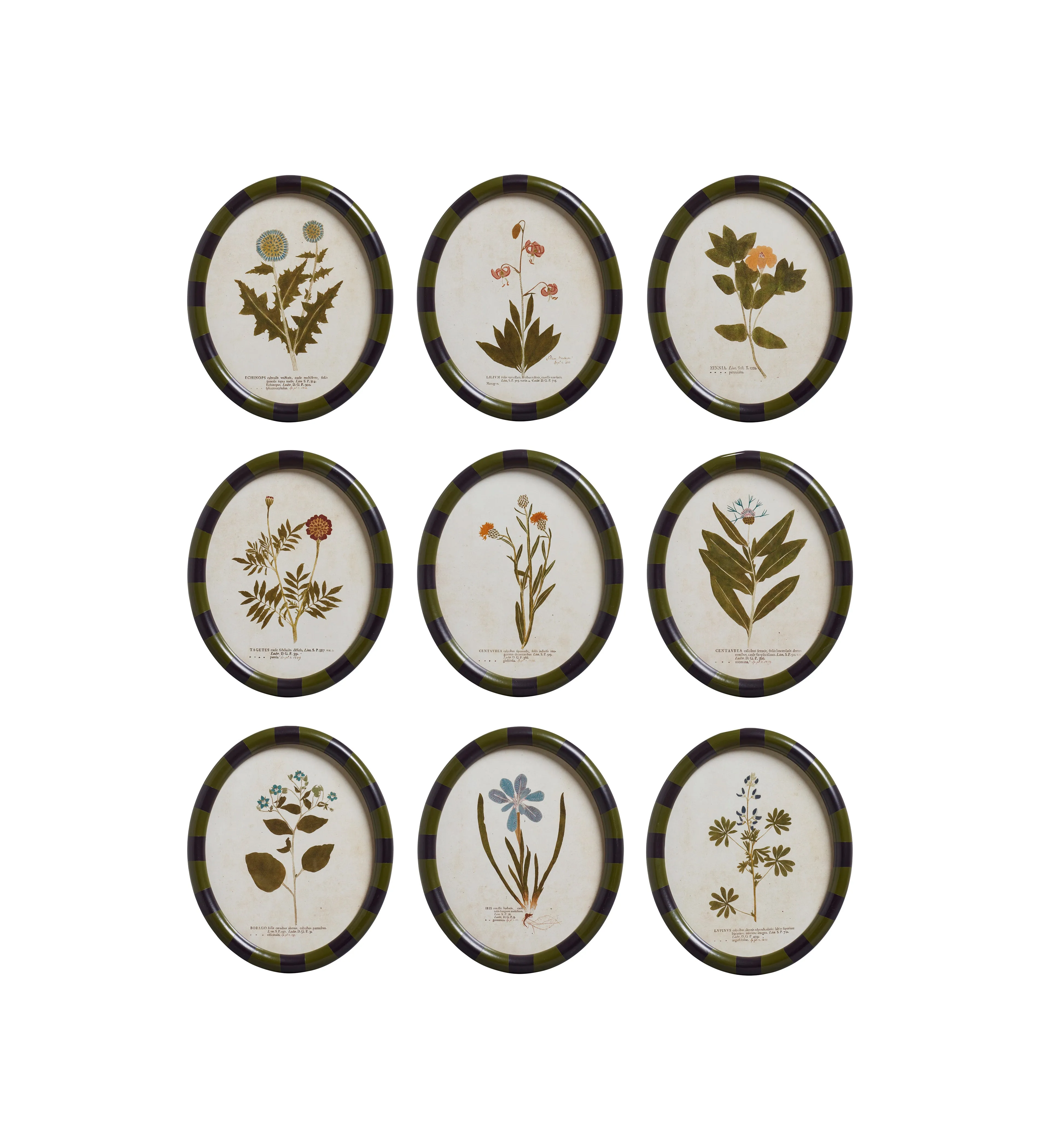 9-Piece Framed Floral Prints - Multi, Paper image
