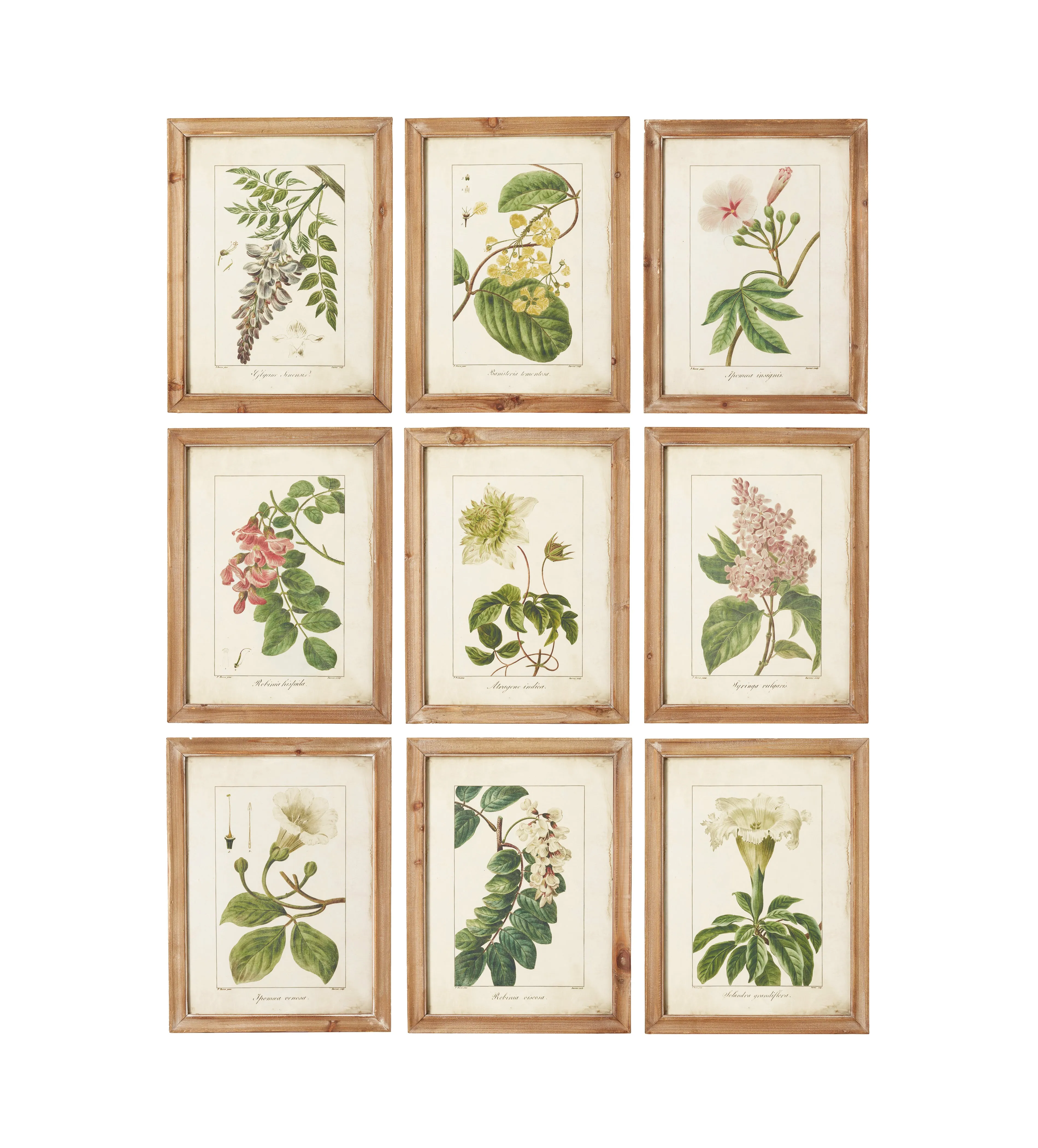 9-Piece Framed Print Set - Brown, Wood image