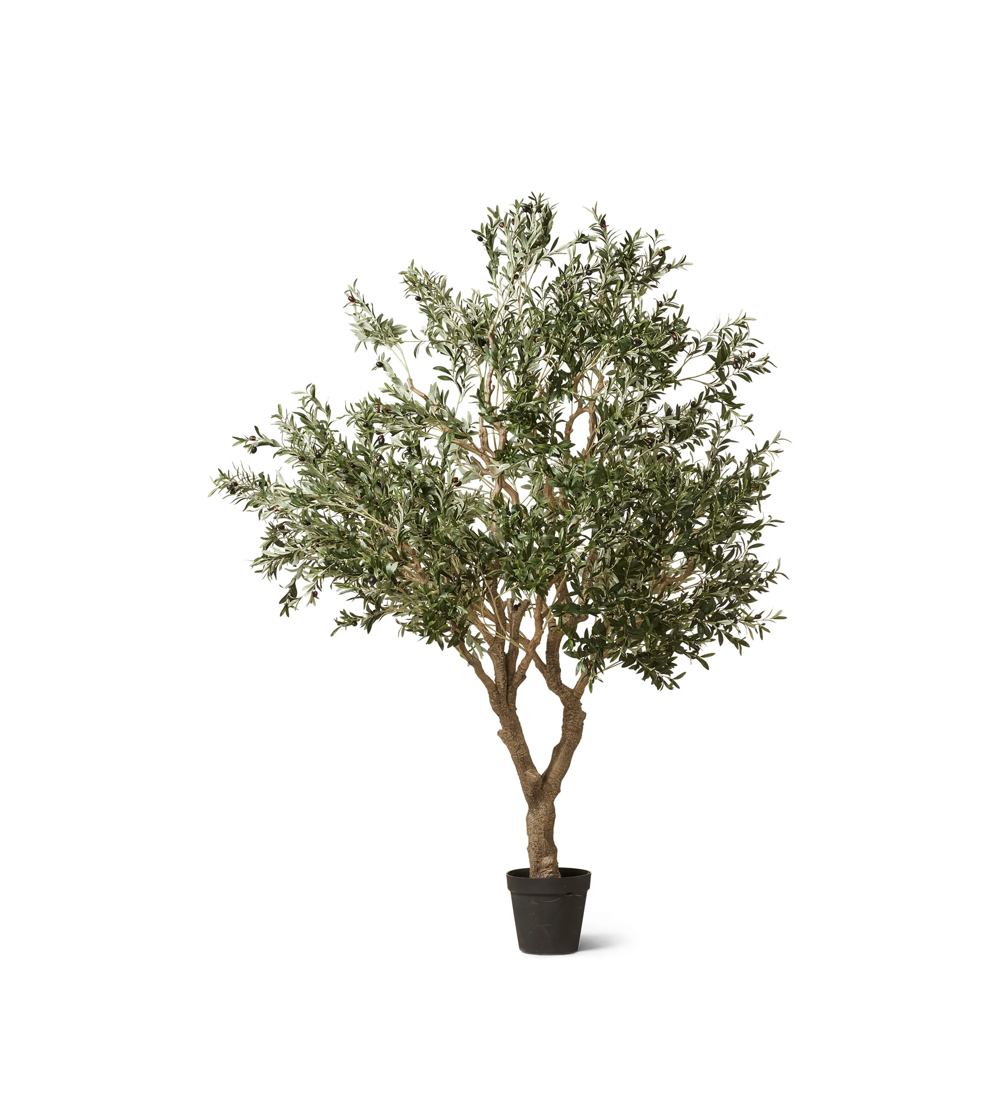 Extra Large Faux Olive Tree - Black Pot image