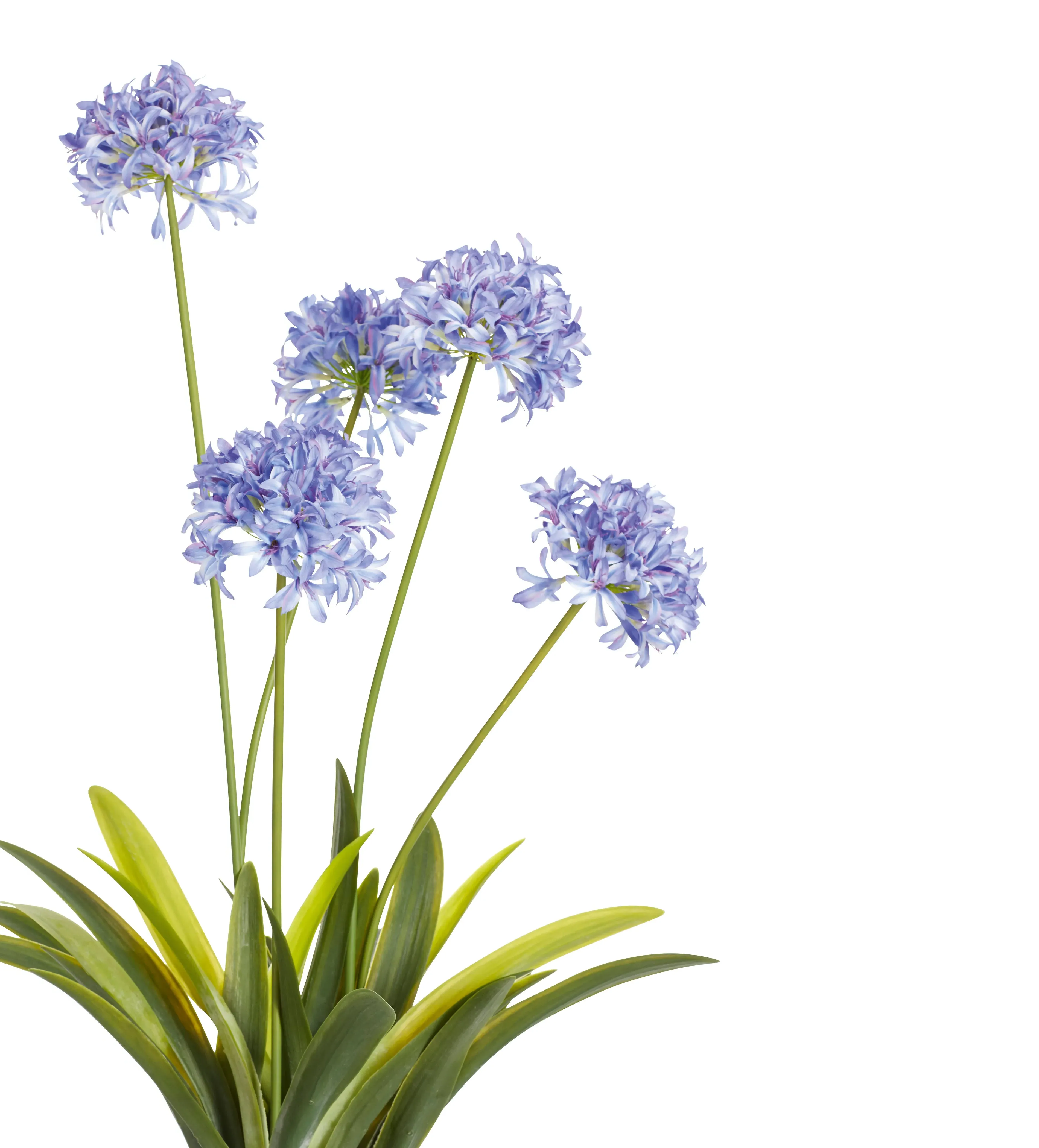 Faux Agapanthus Plant - Purple