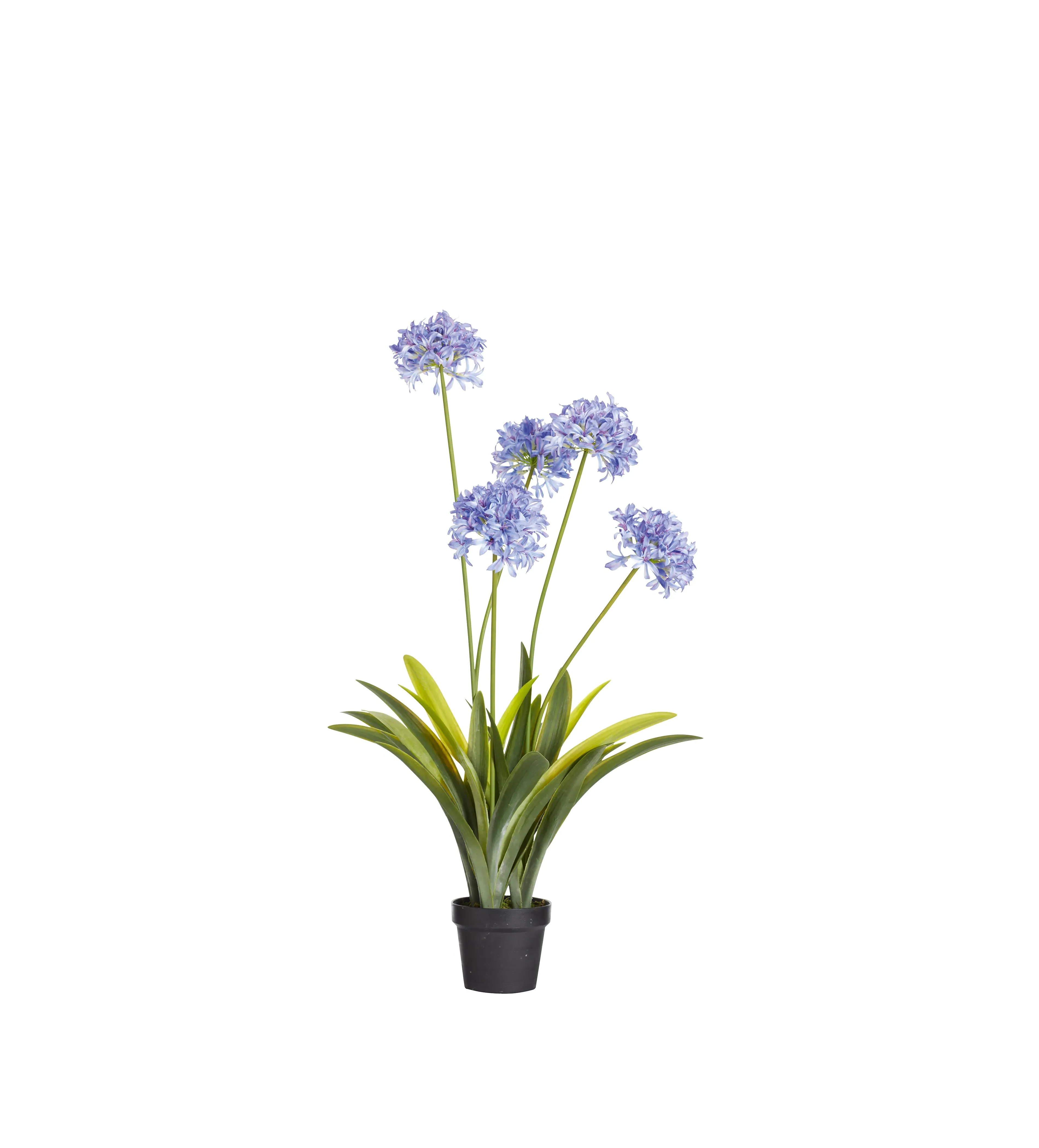Faux Agapanthus Plant - Purple image