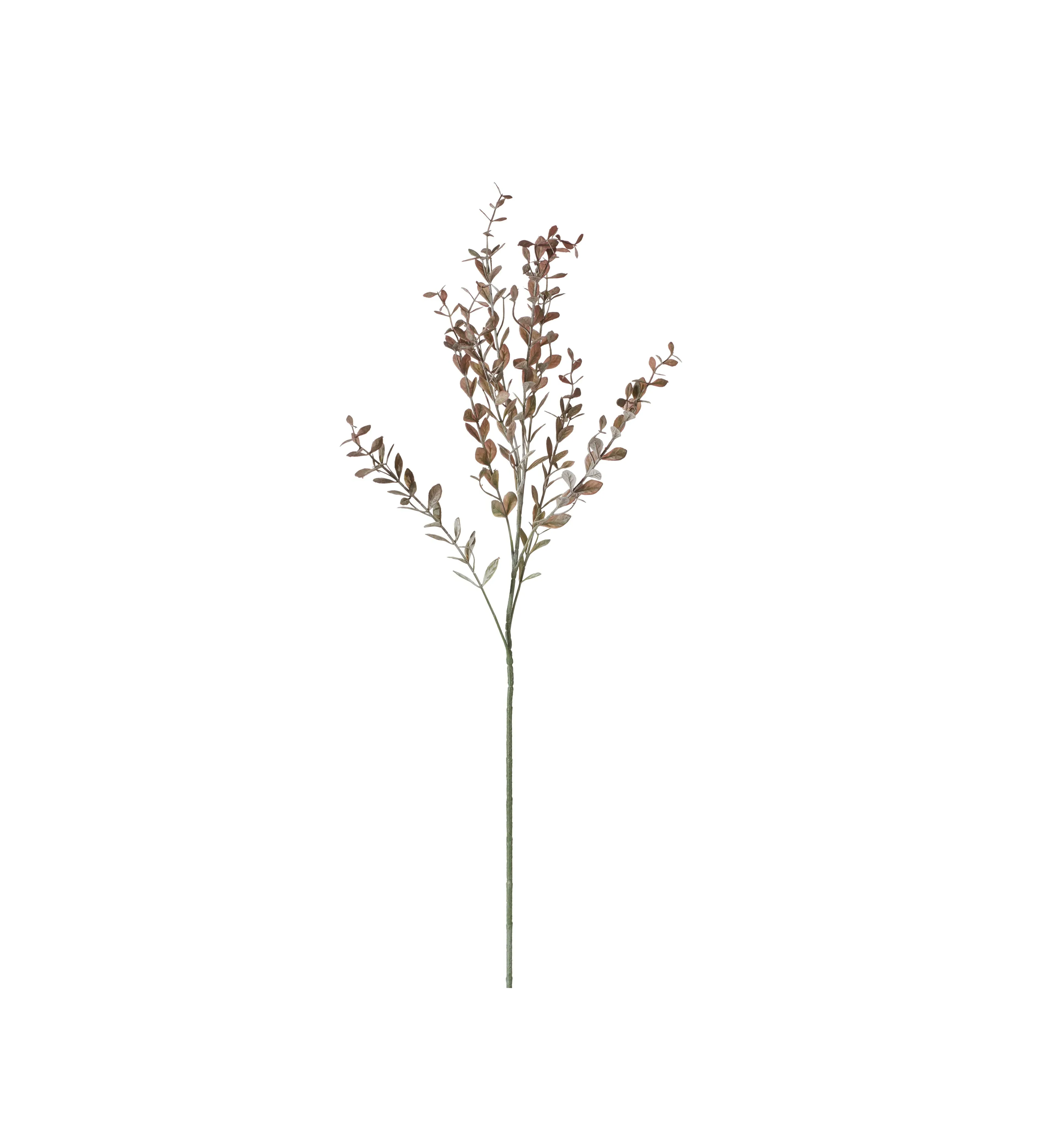 Faux Barberry Branch - Dark Brown, Artificial image