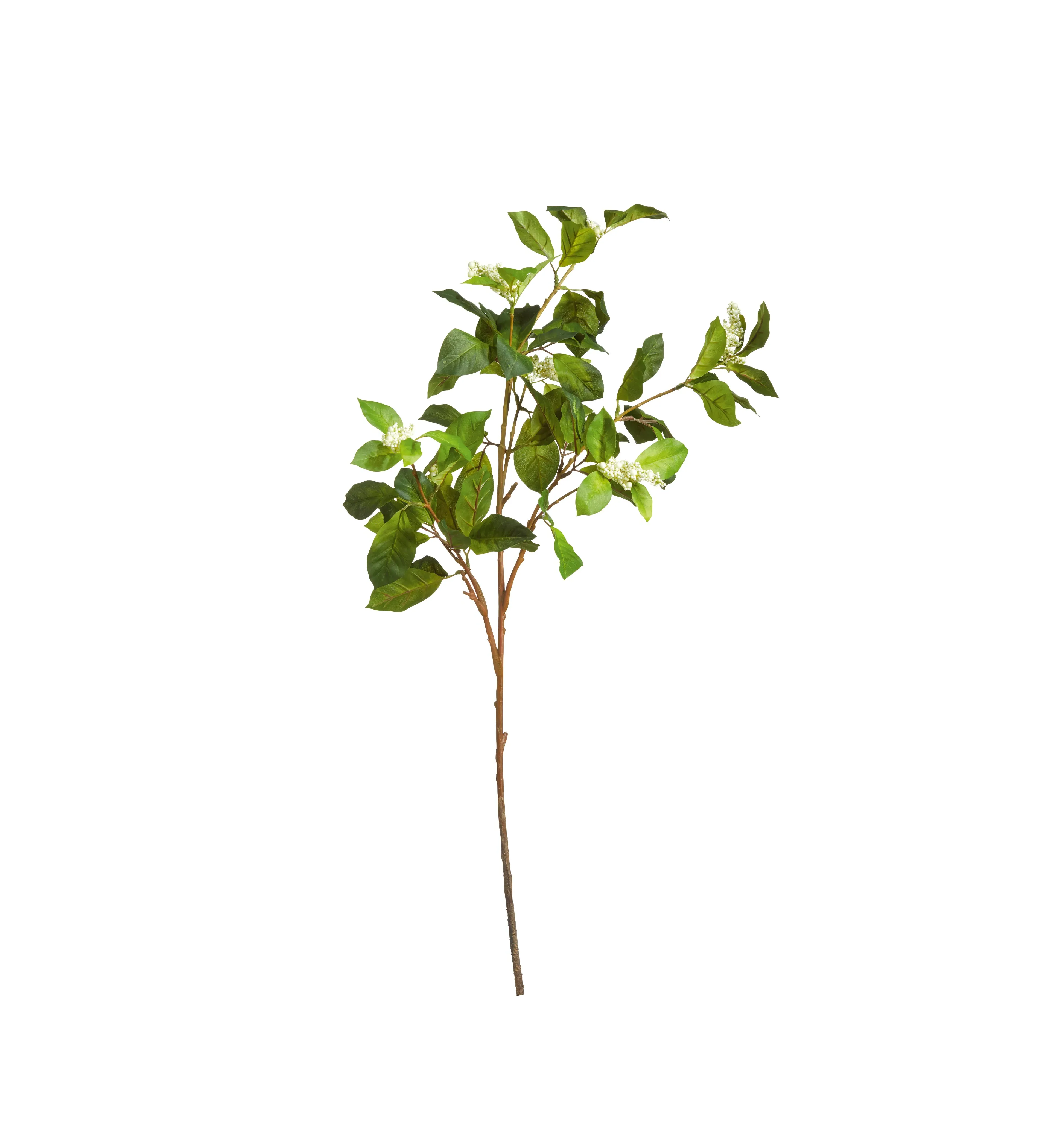 Faux Camellia Berry Branch - Green, Artificial