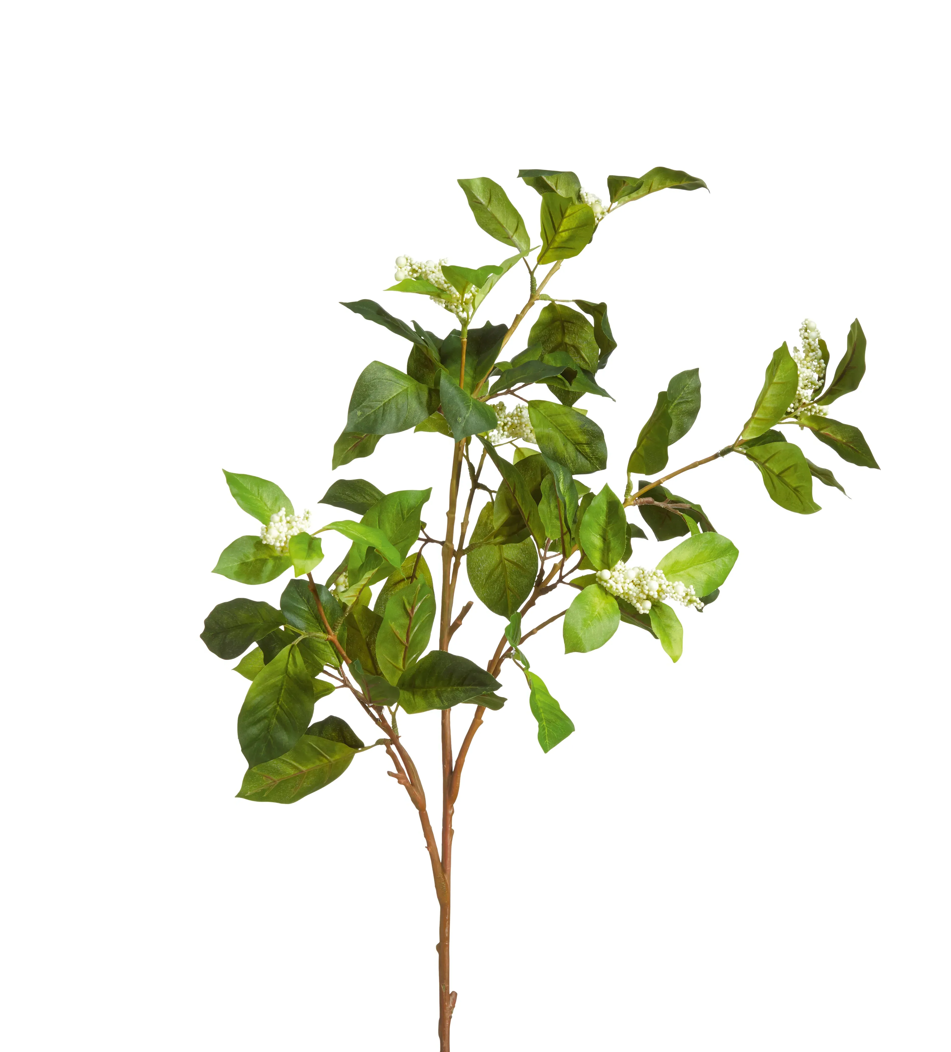 Faux Camellia Berry Branch - Green, Artificial image