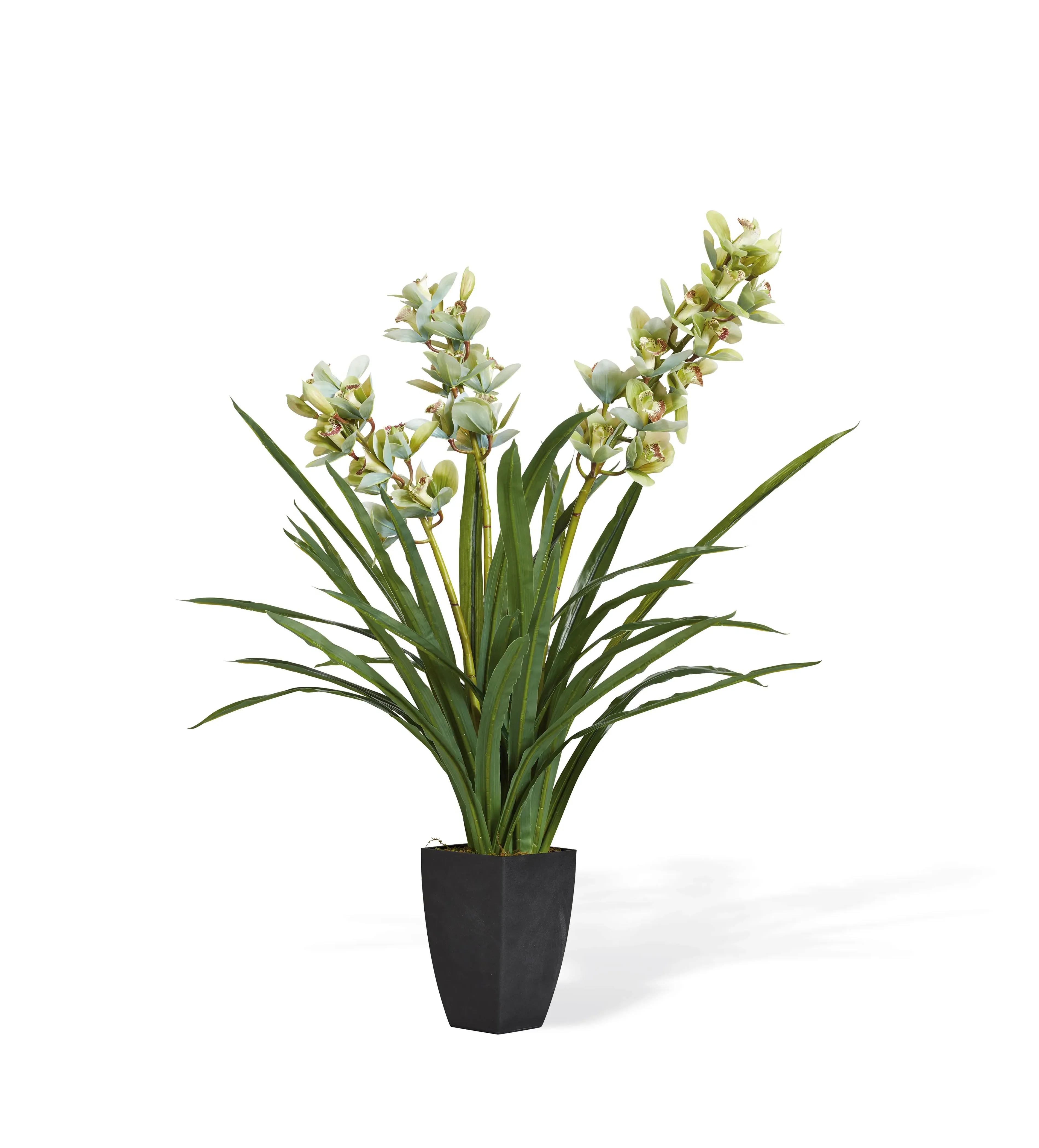 Faux Cymbidium Orchid with Vase - Green, Artificial image