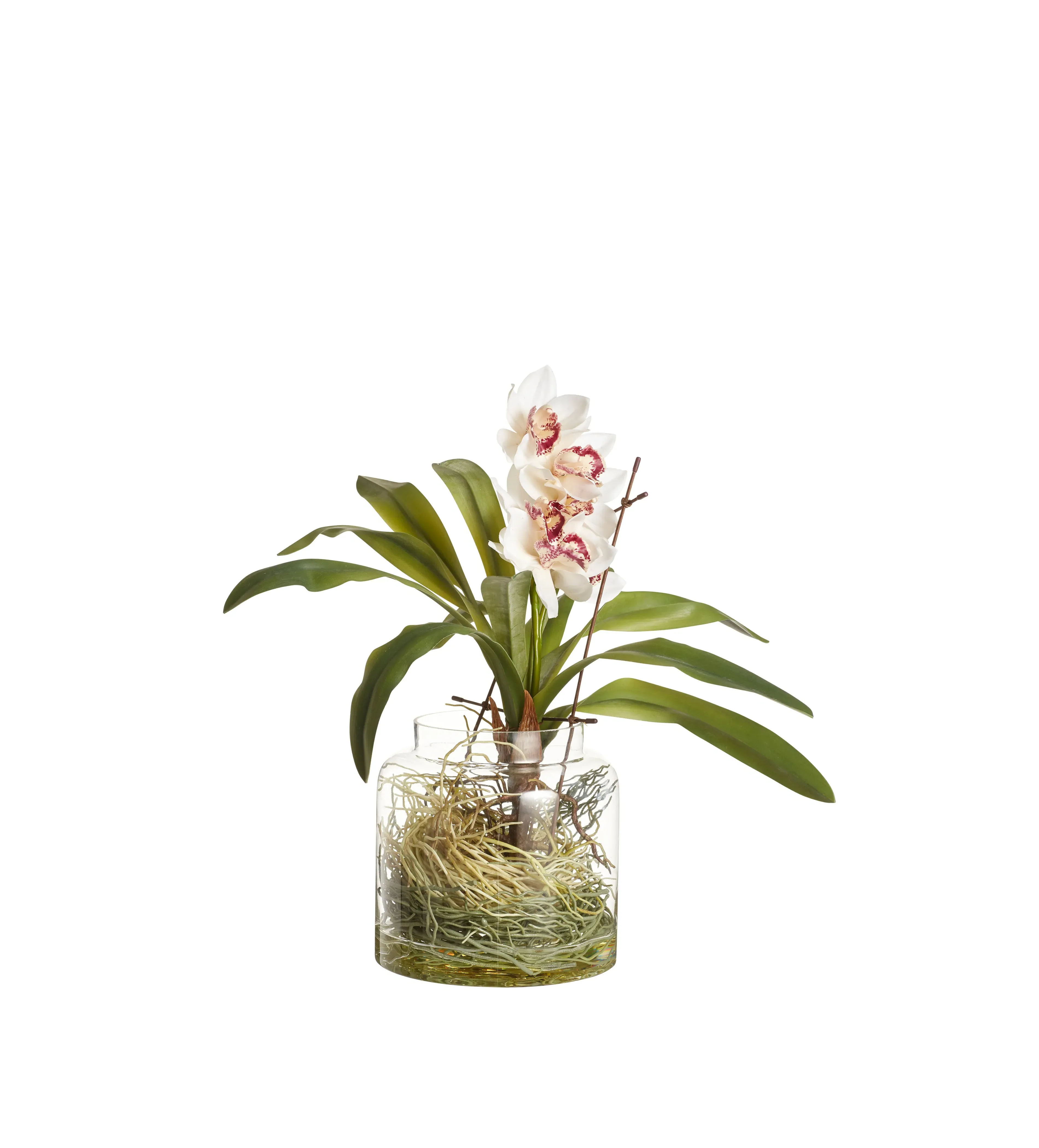Faux Cymbidium Orchids with Vase - Cream image