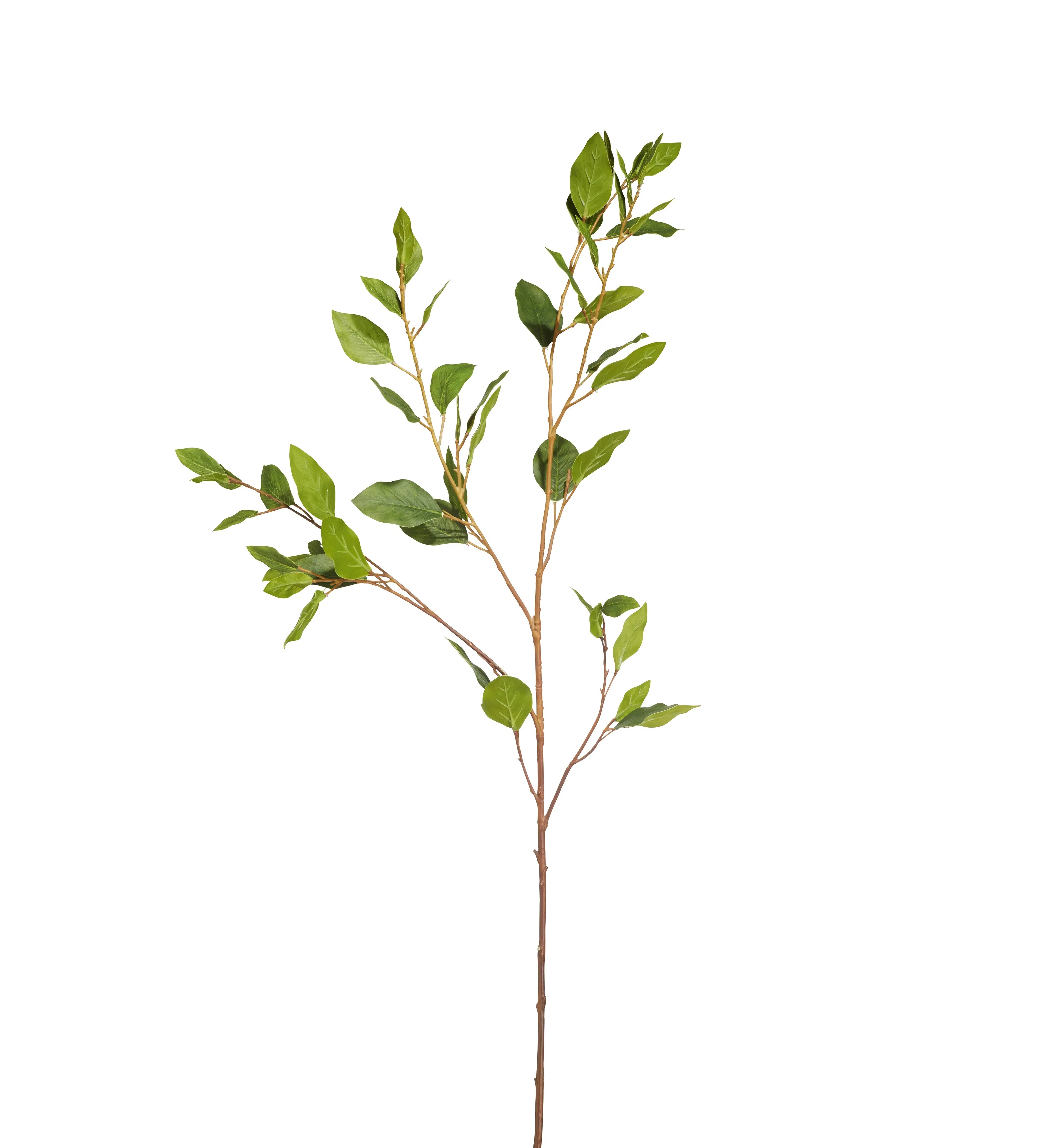 Faux Eucalyptus Stem - Green, Artificial image