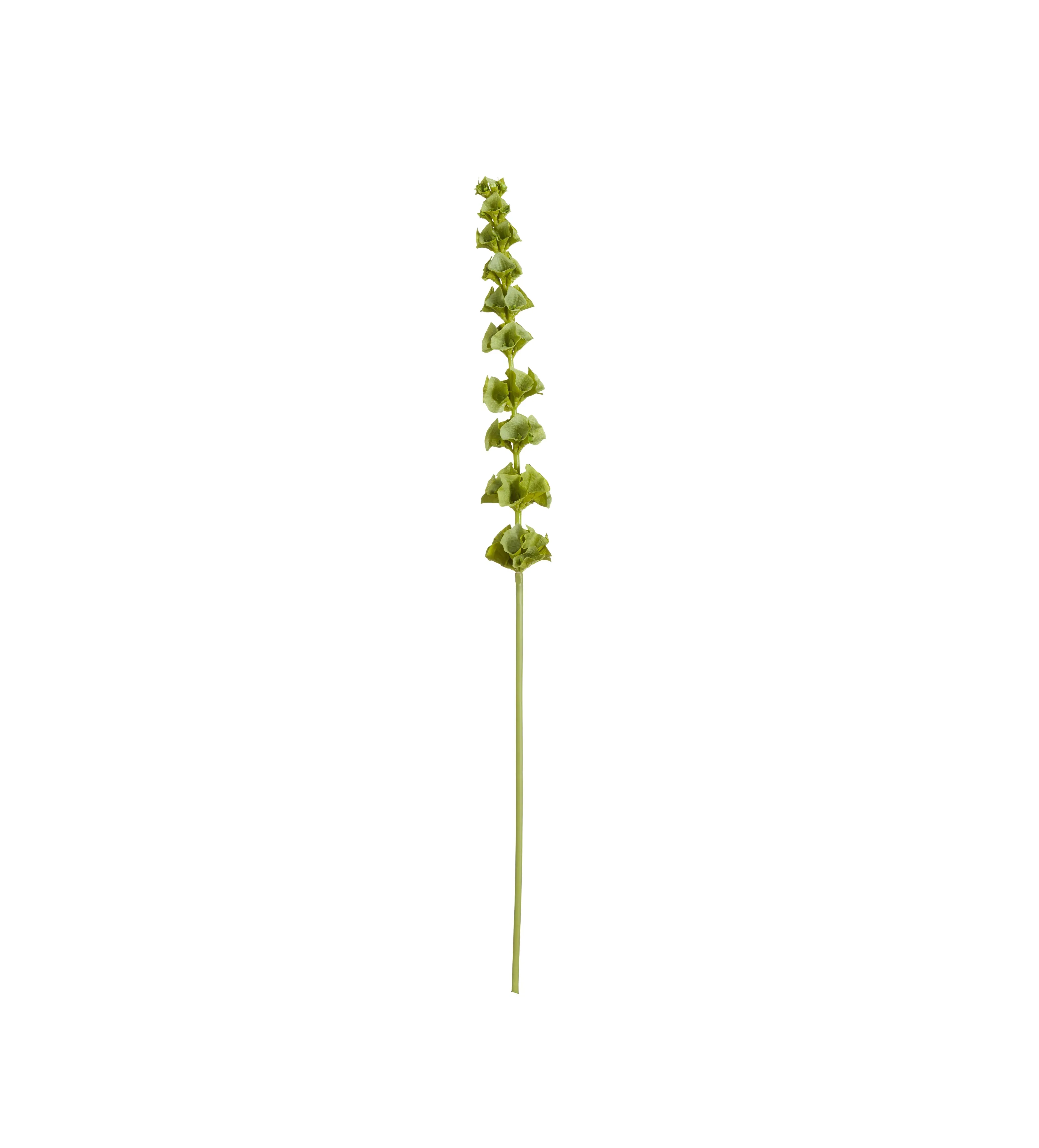 Faux Flower Stem - Green, Bells of Ireland