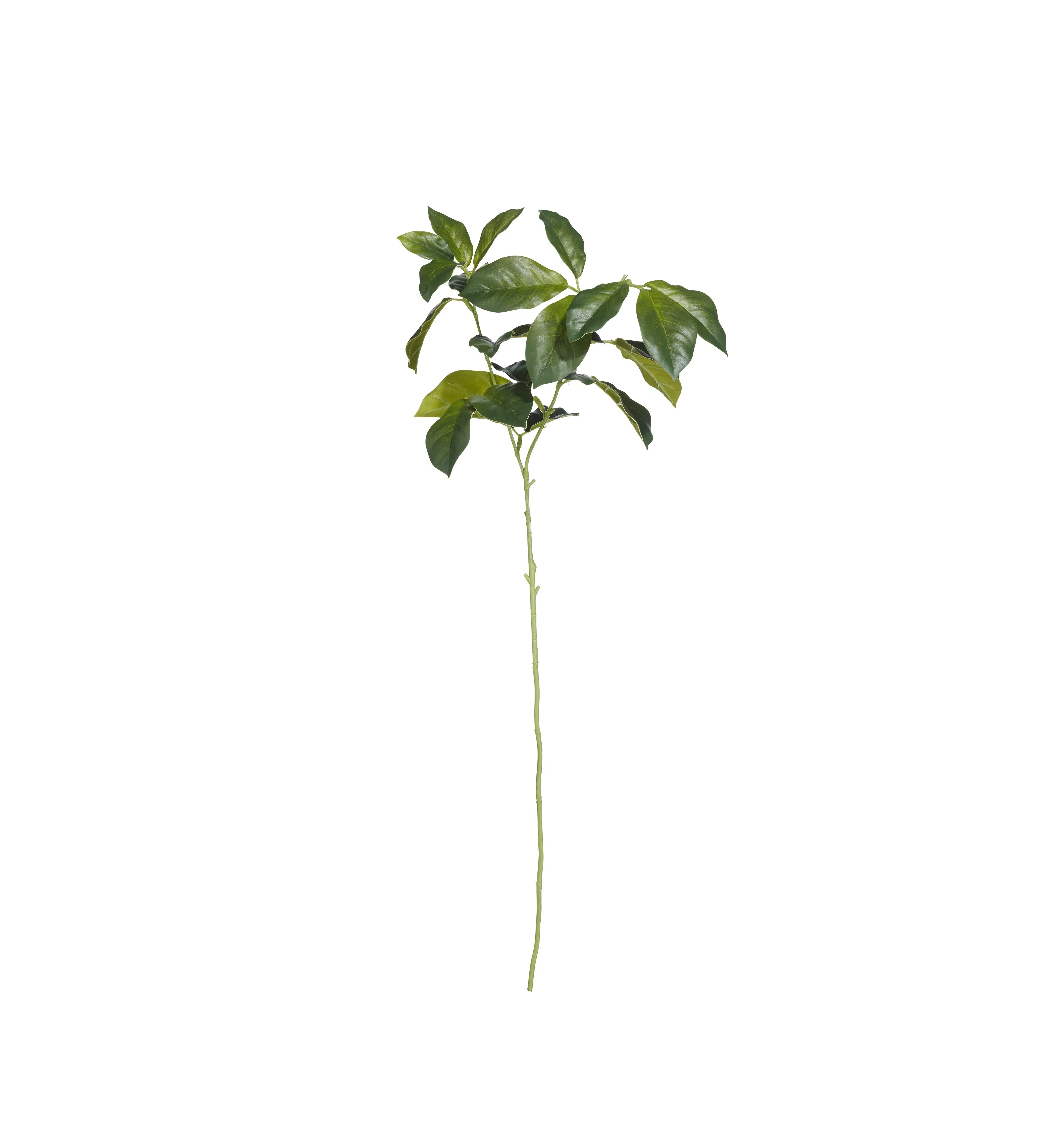 Faux Laurel Leaves Stem - Green, Artificial