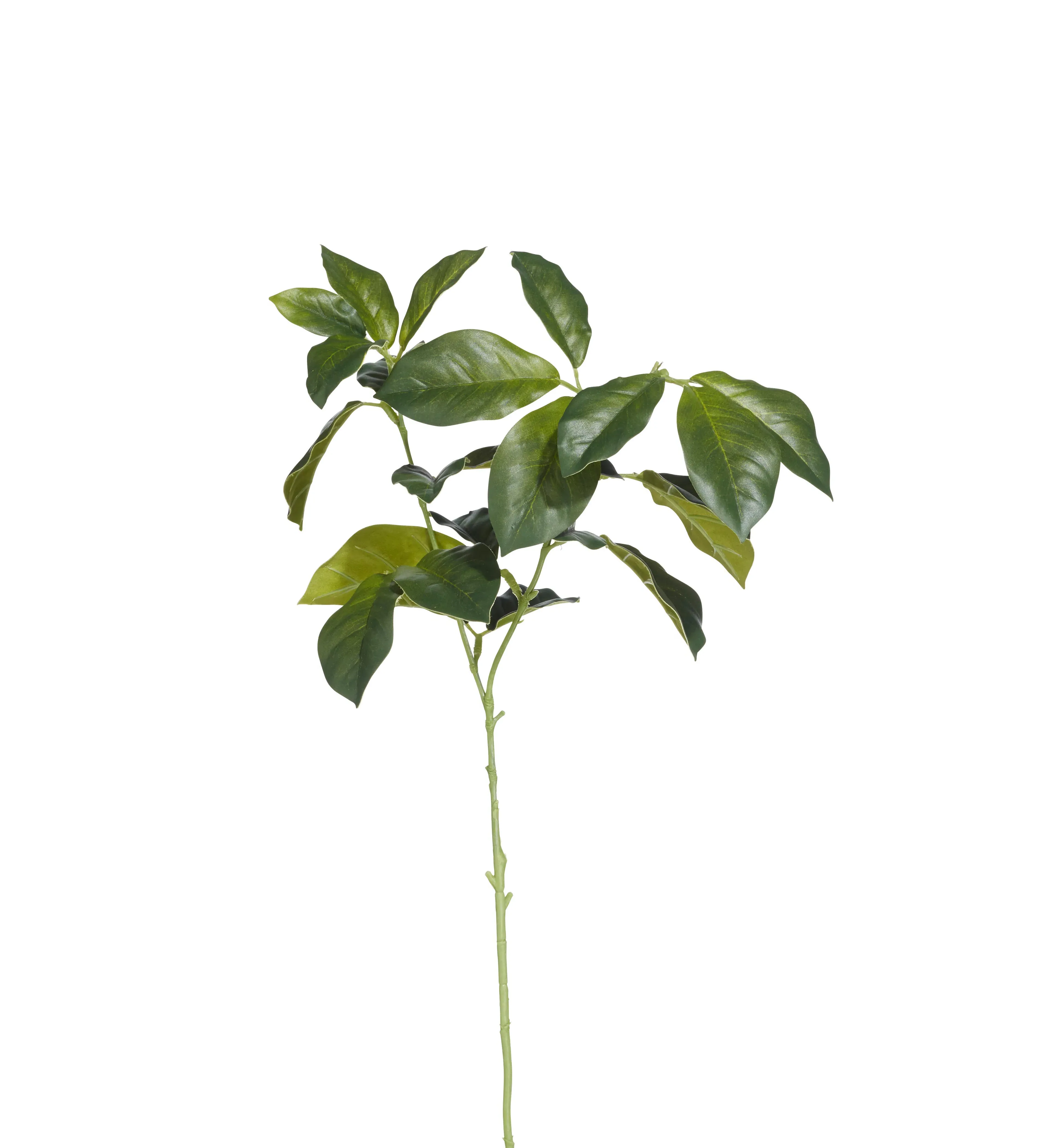 Faux Laurel Leaves Stem - Green, Artificial image