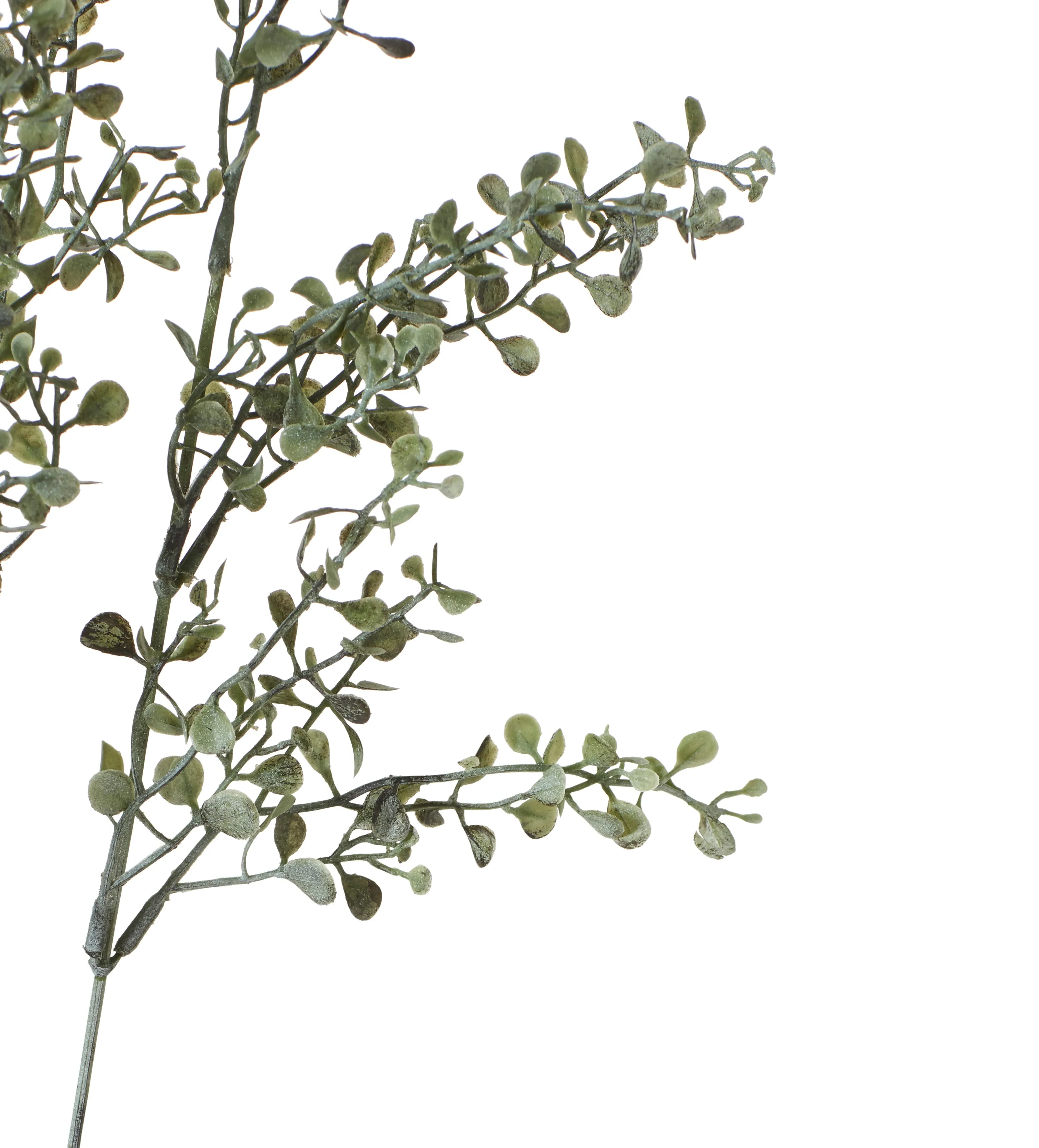 Faux Maidenhair Fern Stem - Green