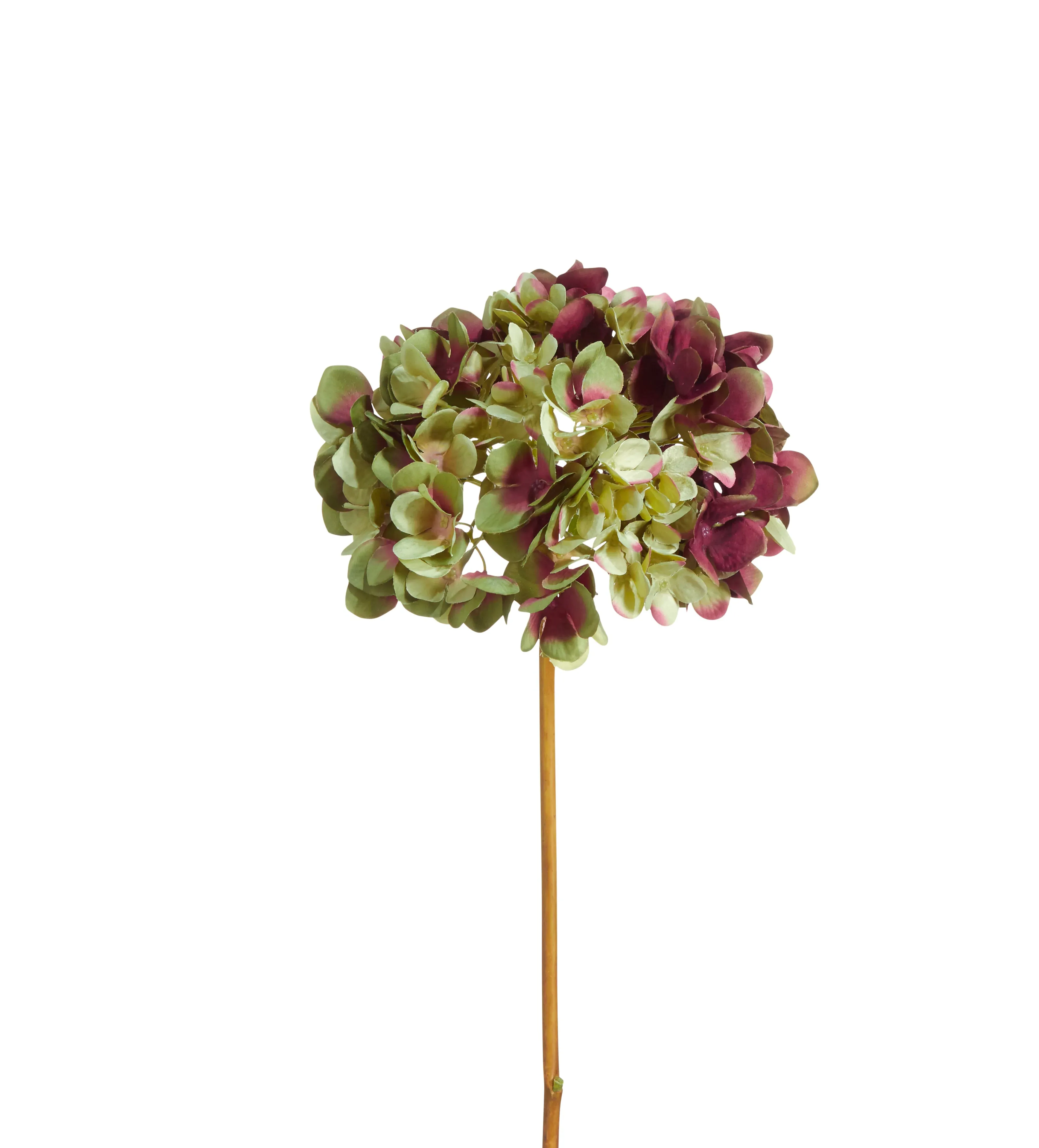 Faux Mophead Hydrangea Stem - Multi, Artificial image