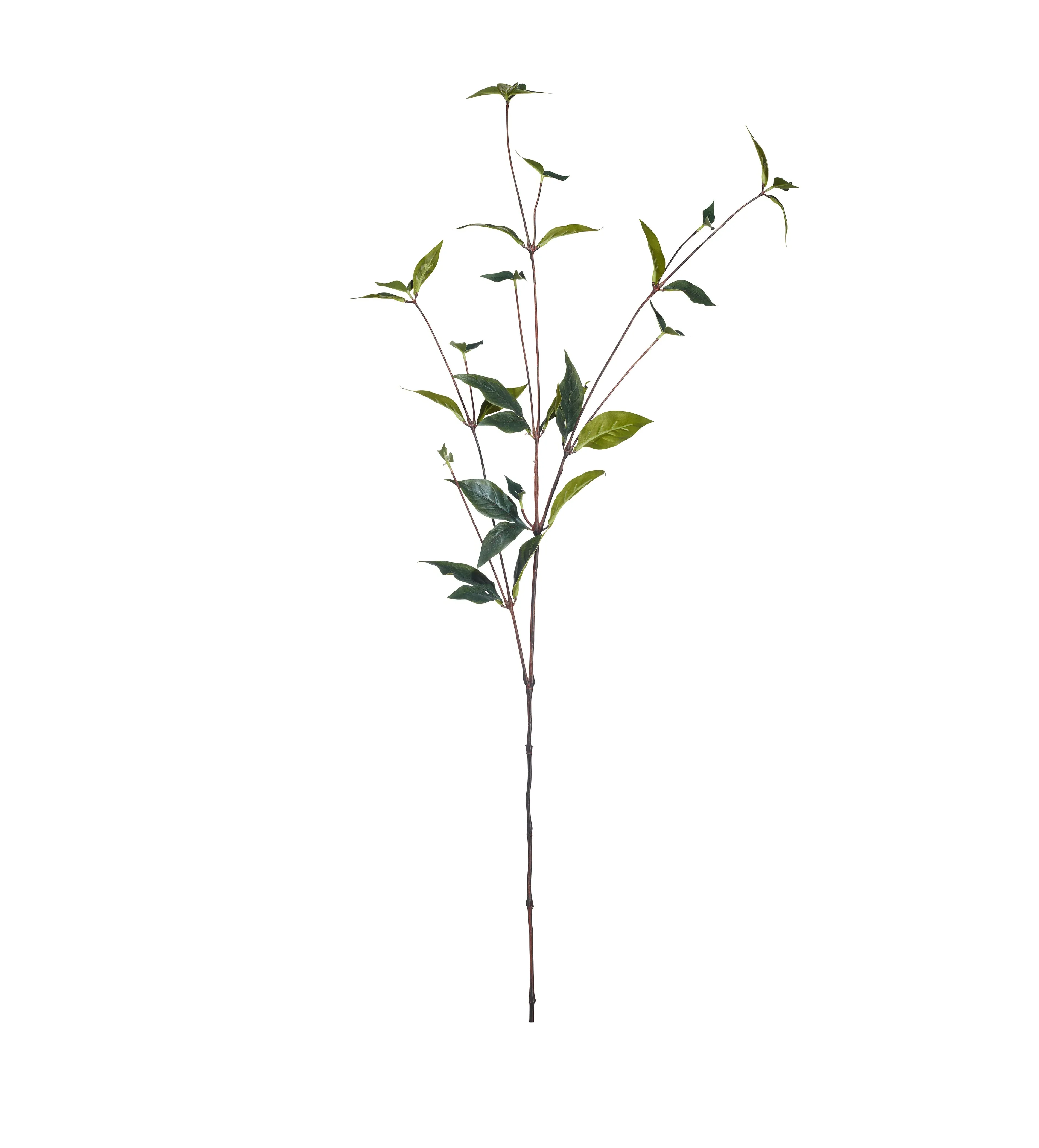 Faux Peony Leaves Stem - Green, Artificial