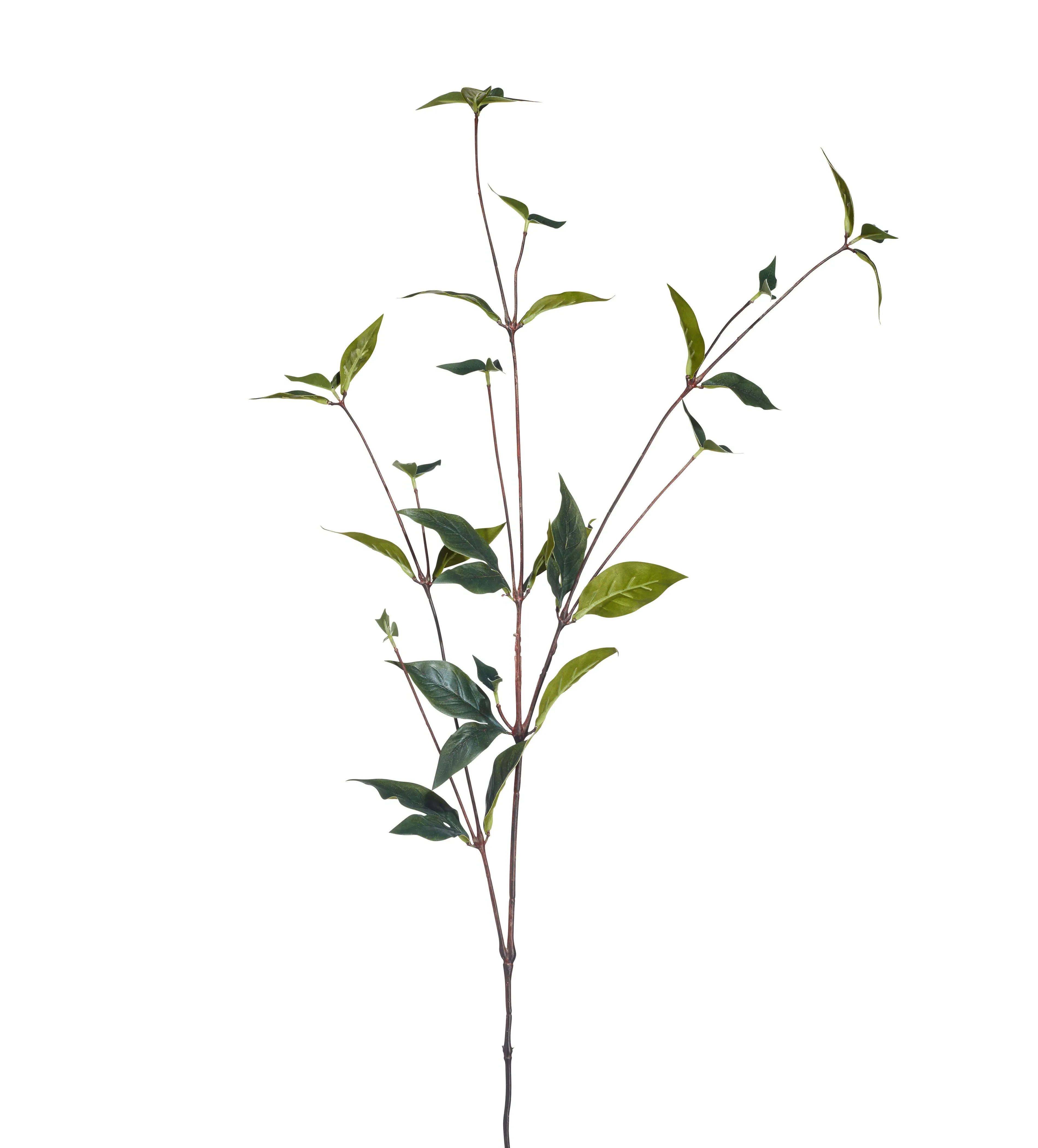 Faux Peony Leaves Stem - Green, Artificial image