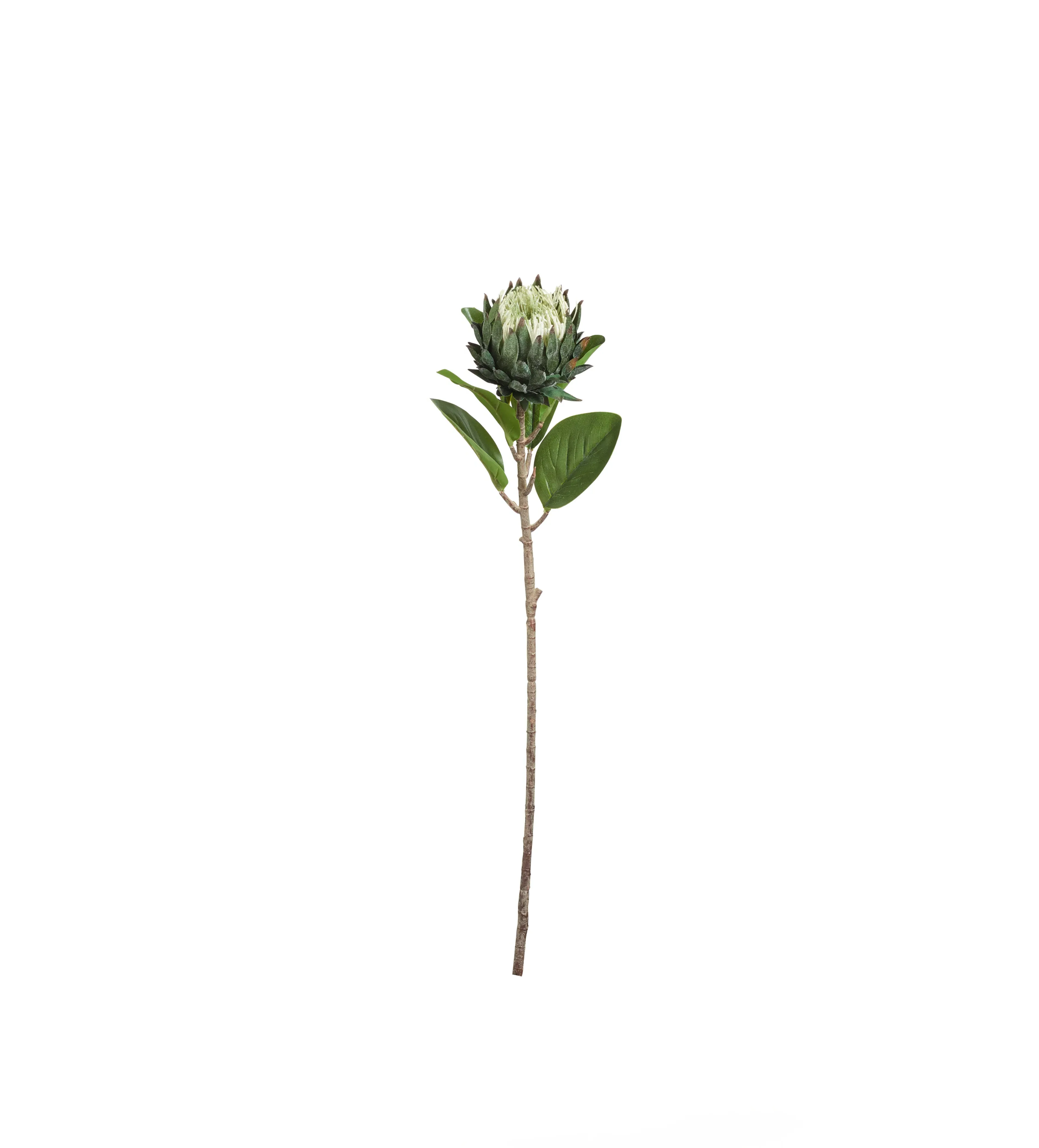 Faux Protea Stem - White, Artificial Flower