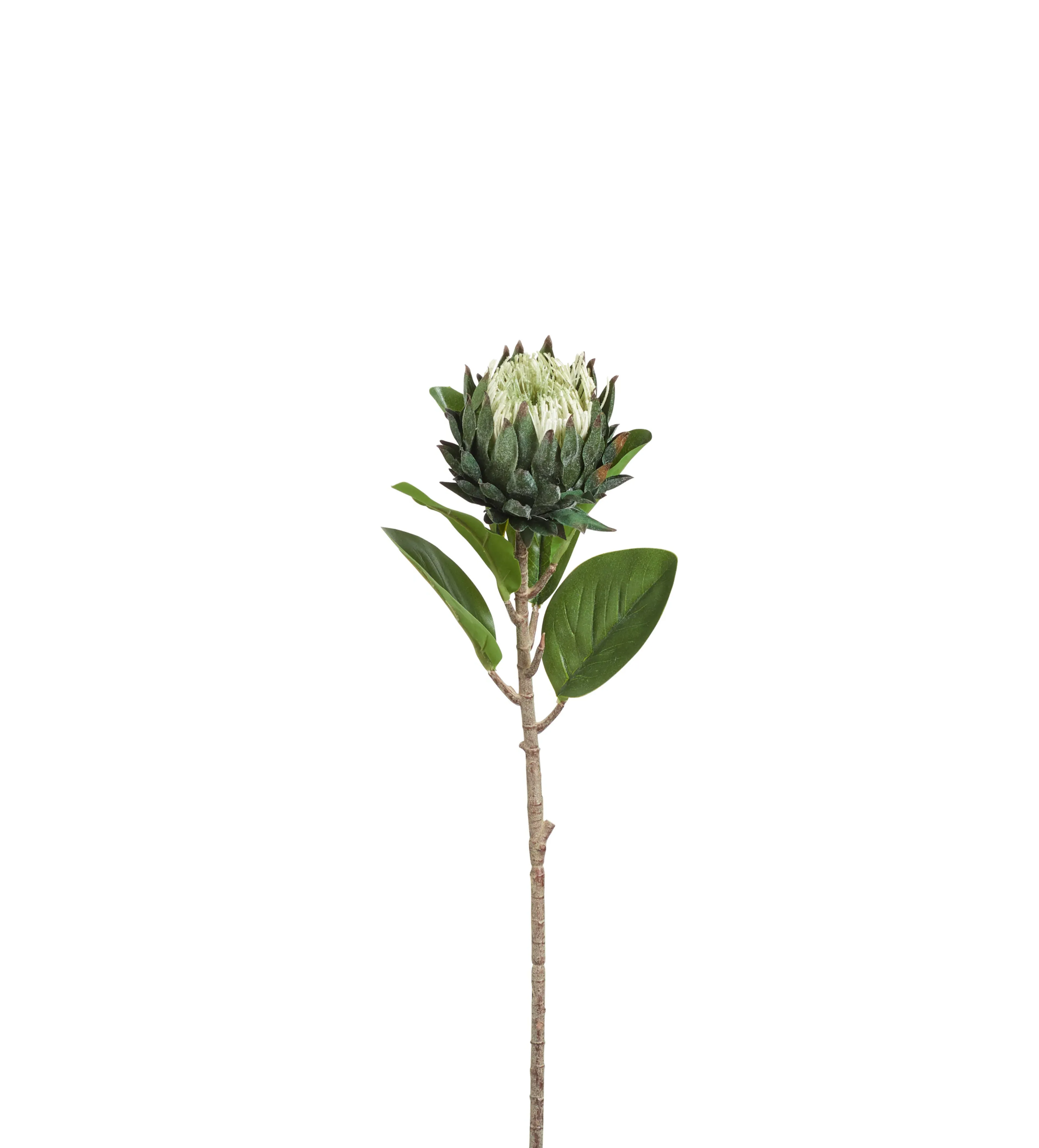 Faux Protea Stem - White, Artificial Flower image