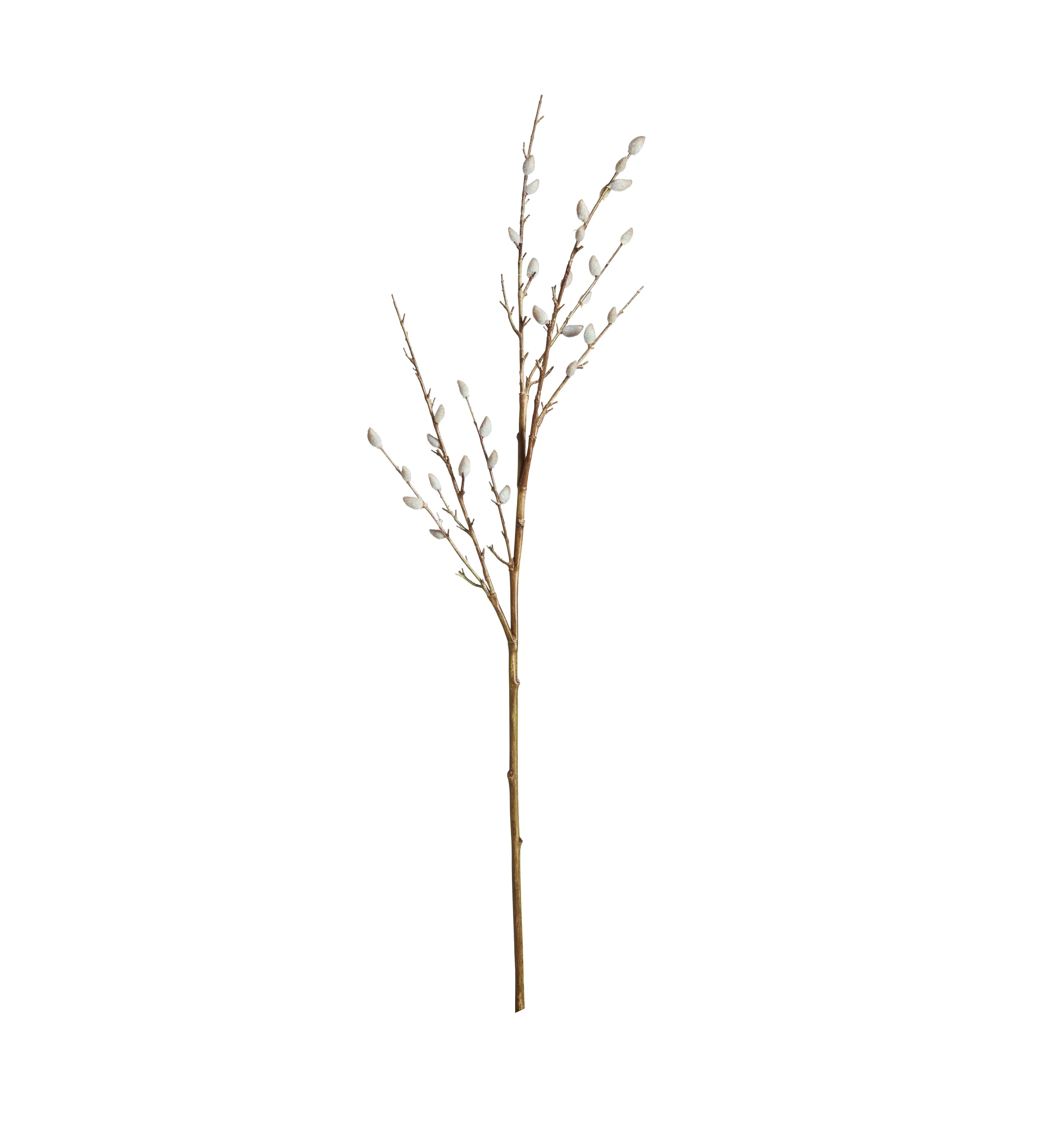 Faux Pussy Willow Branch - Grey, Artificial