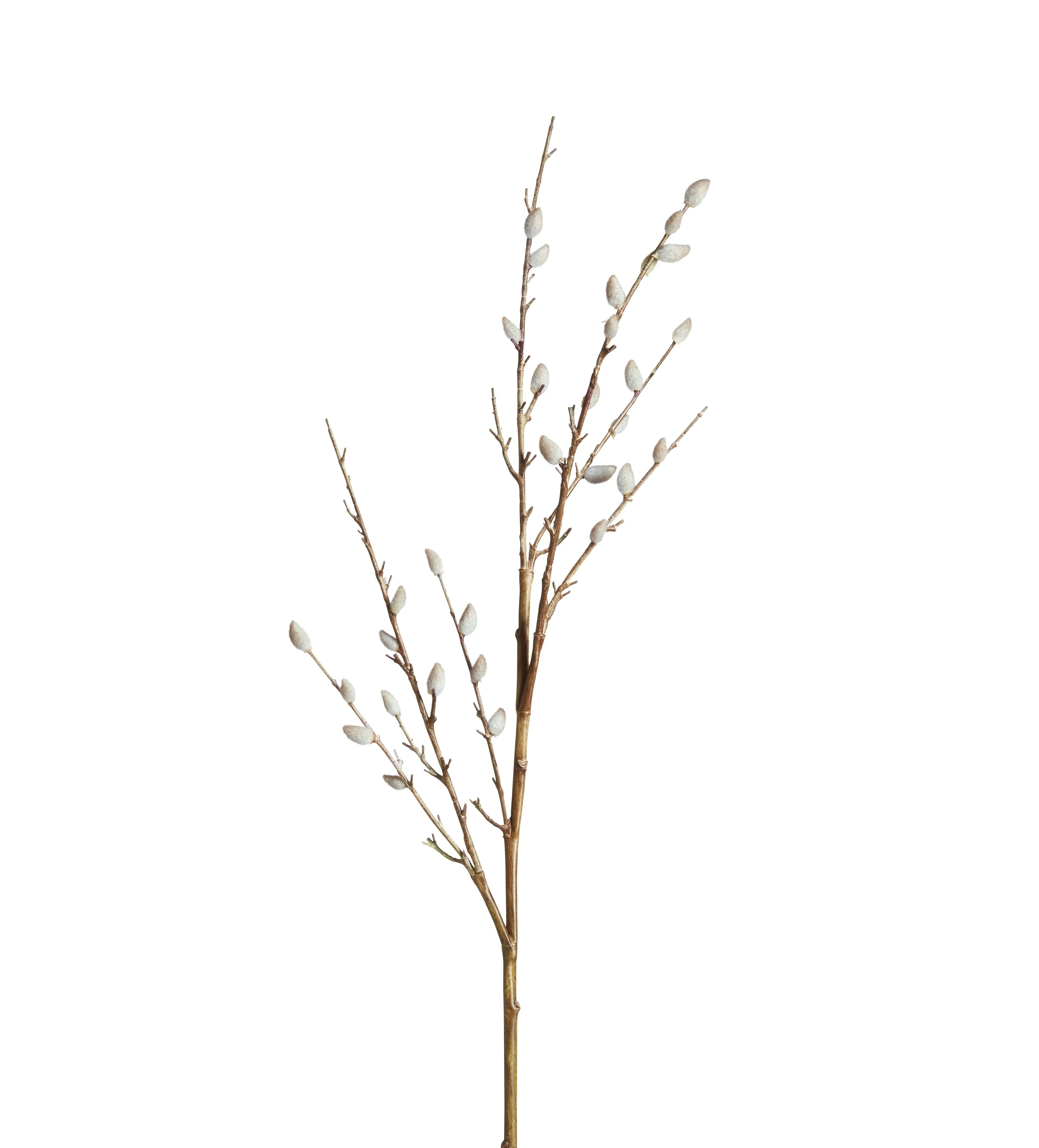 Faux Pussy Willow Branch - Grey, Artificial image